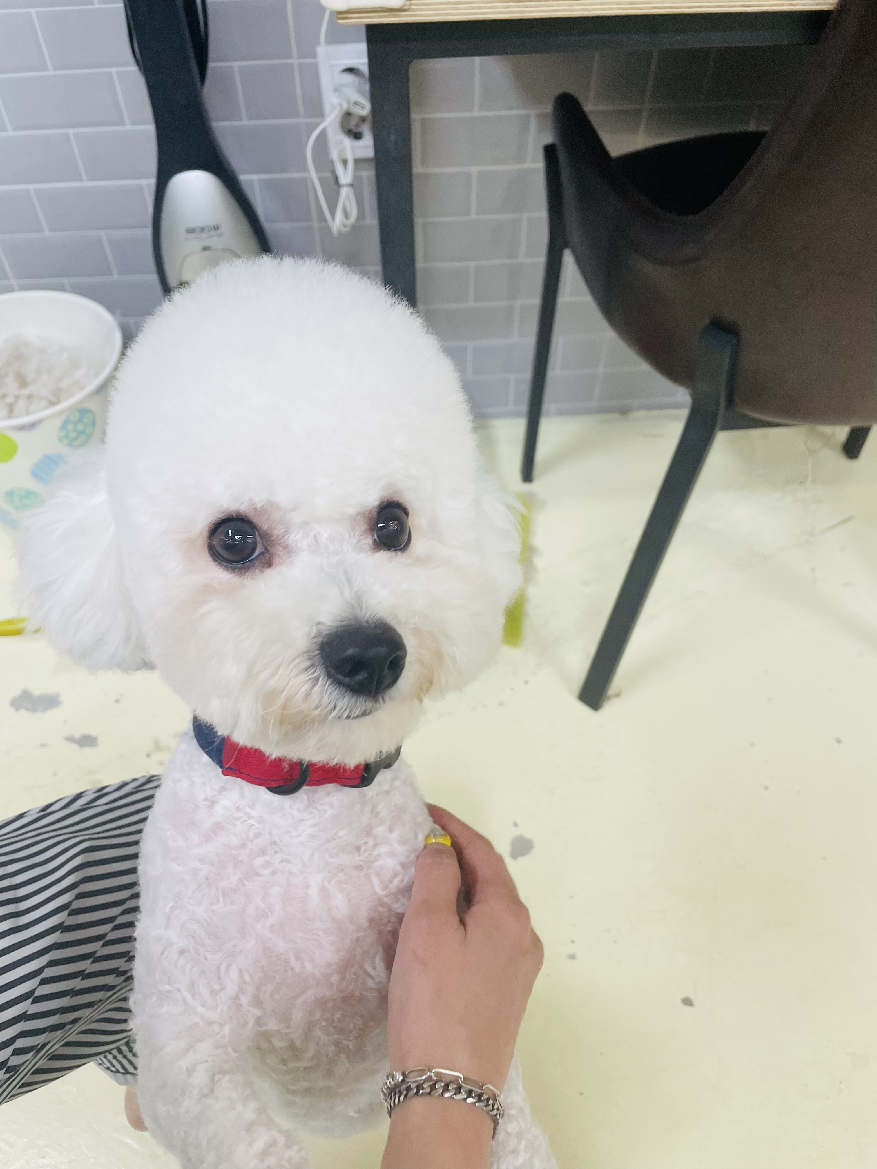 놀러왕왕왕 대표 이미지