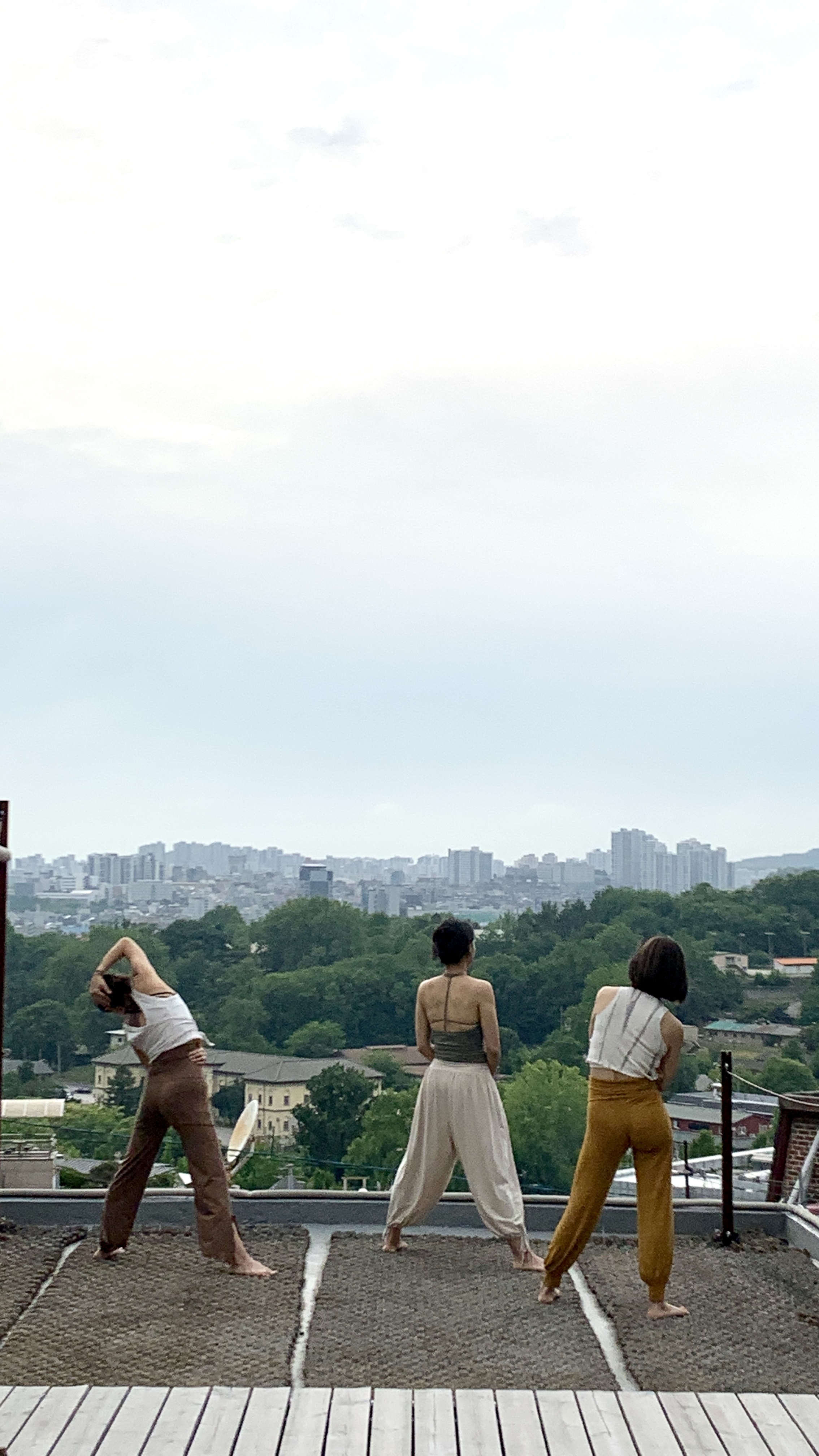 밀밀아 대표 이미지