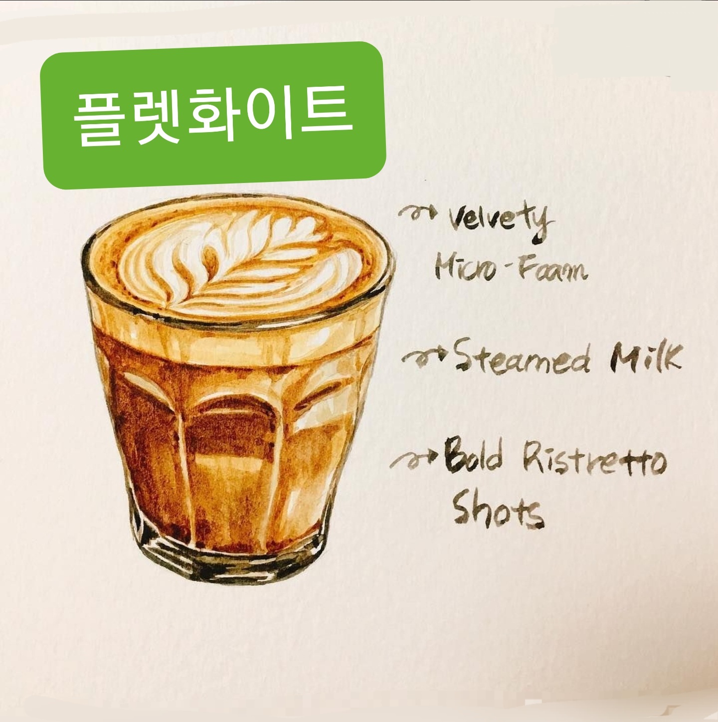브라우나비 반려동물 동반 애견카페