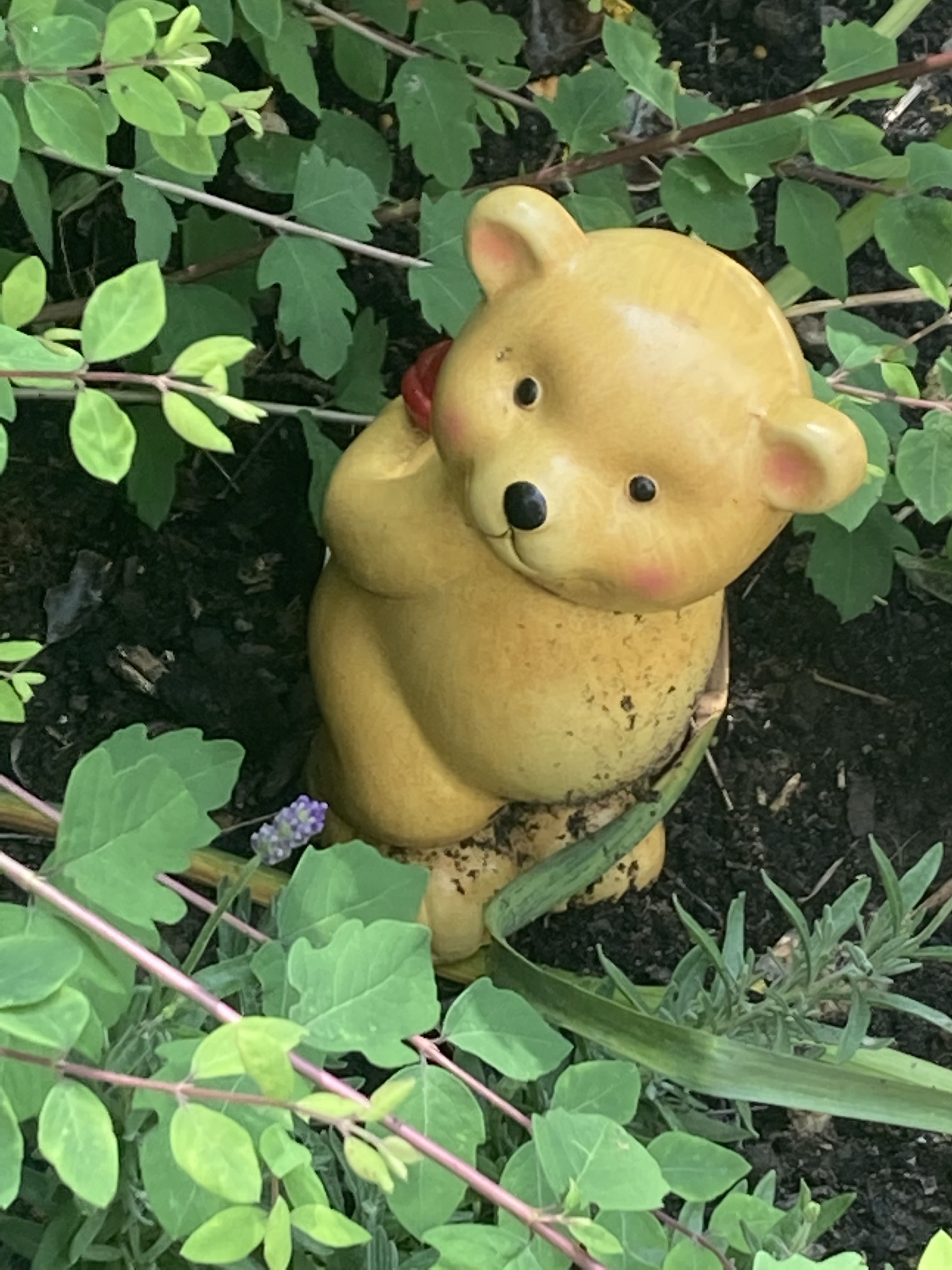 곰돌이분식