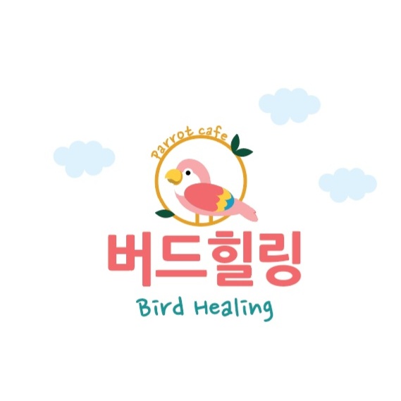 버드힐링앵무새카페