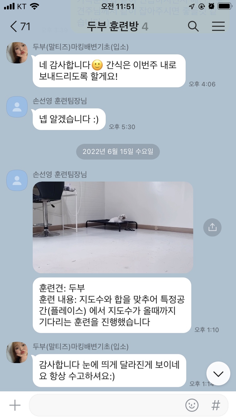 고쳐줄개 애견훈련소 대표 이미지