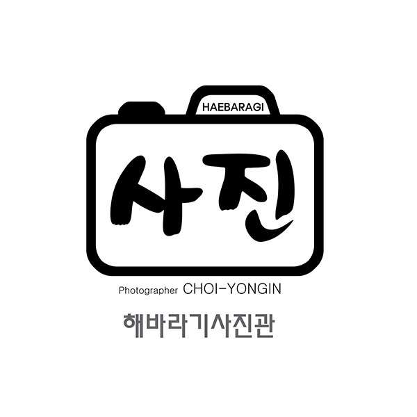 해바라기사진관