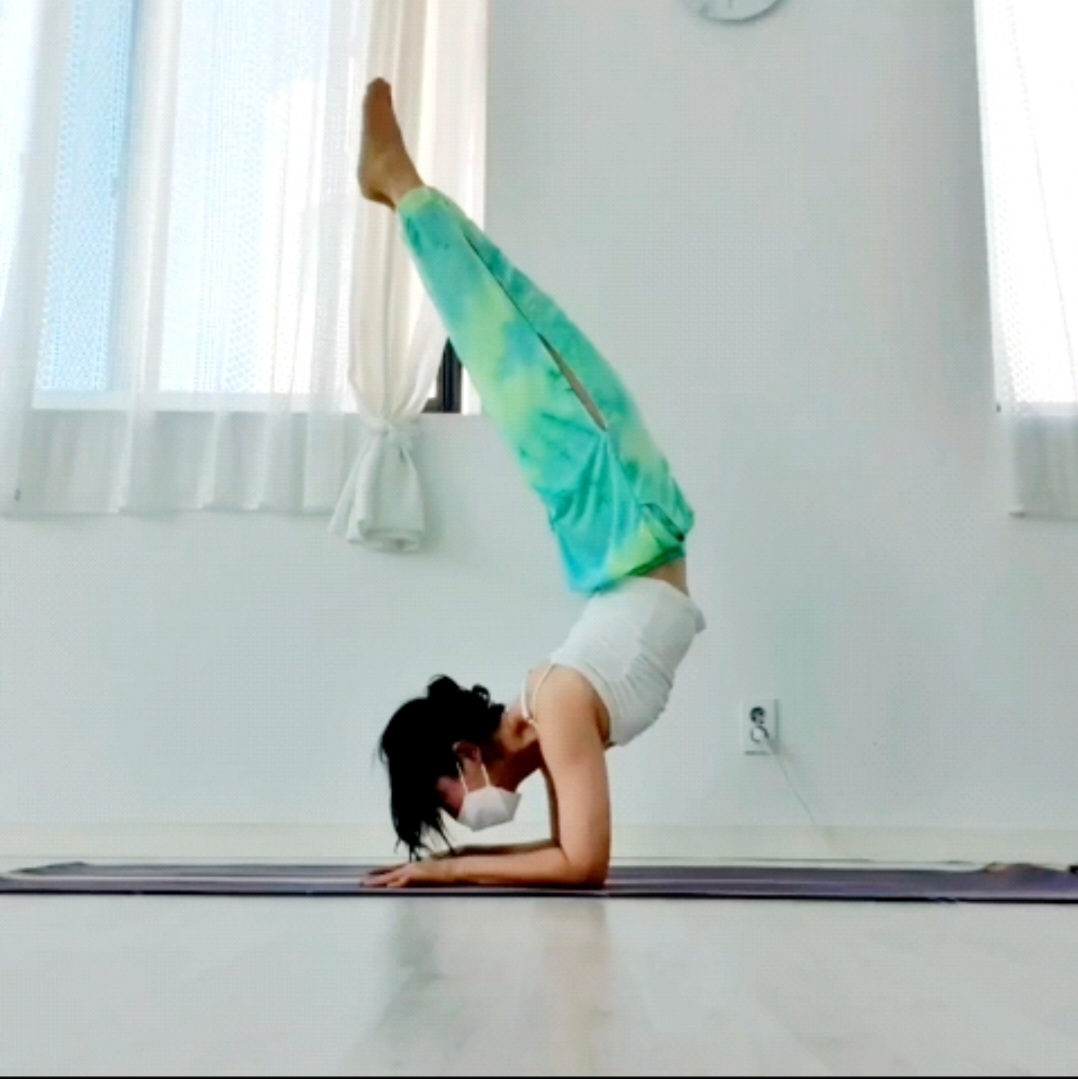 요가인리베 대표 이미지