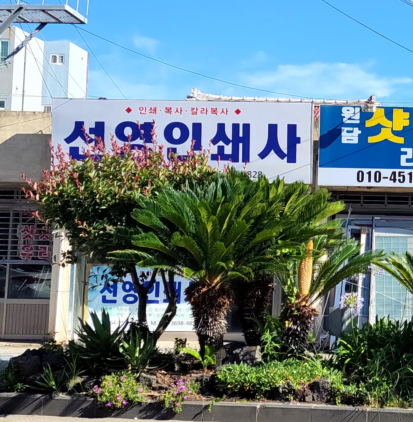 선영인쇄사