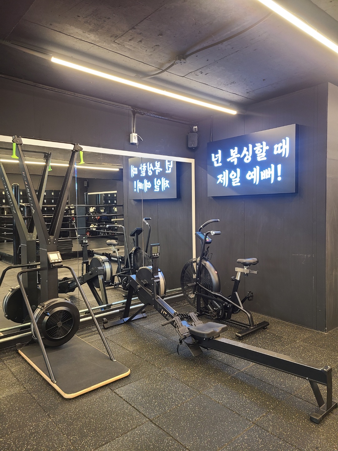서울 구로구 경인로43길 복싱체육관 한국체대 복싱 내부 모습 4