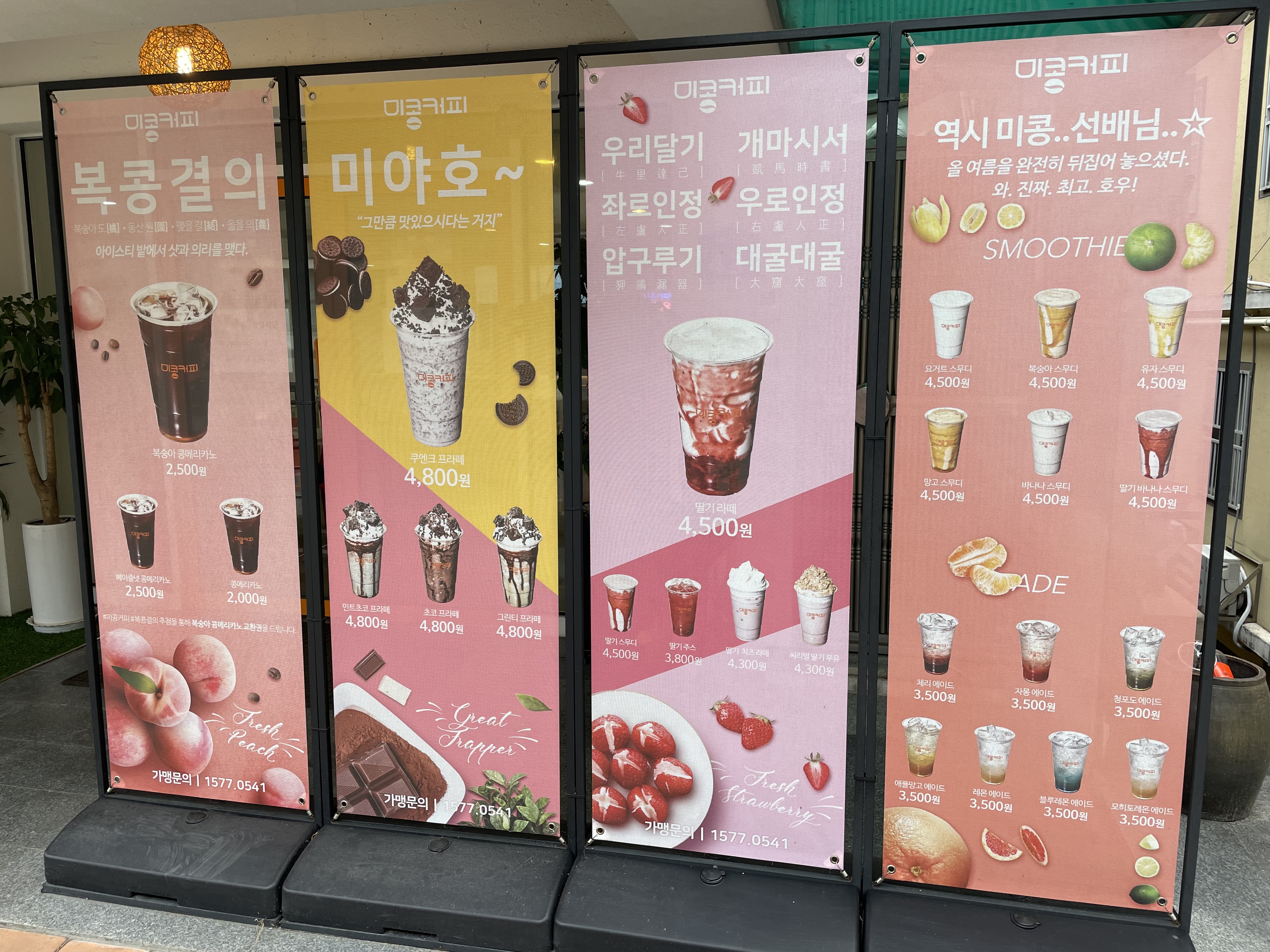 미콩커피 대전대점