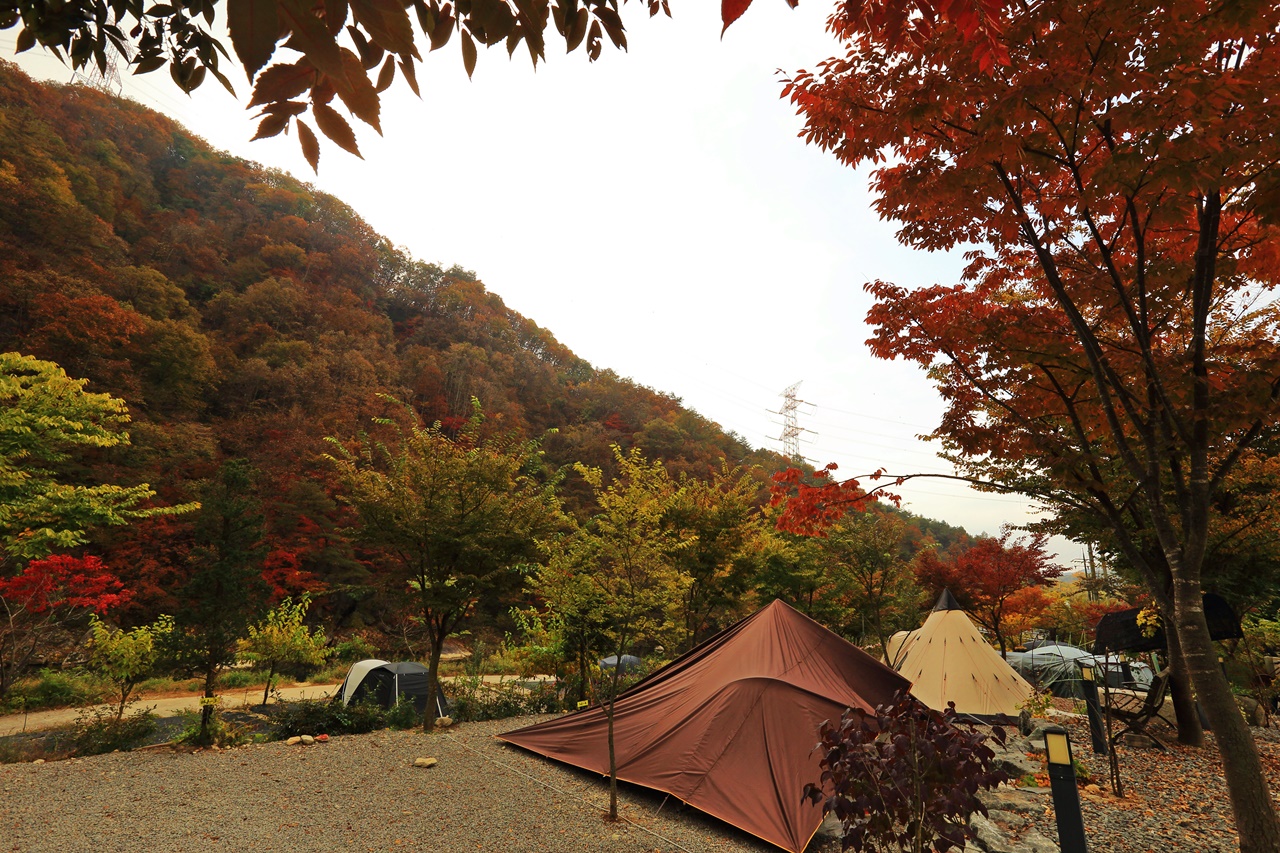 마중펜션캠핑장