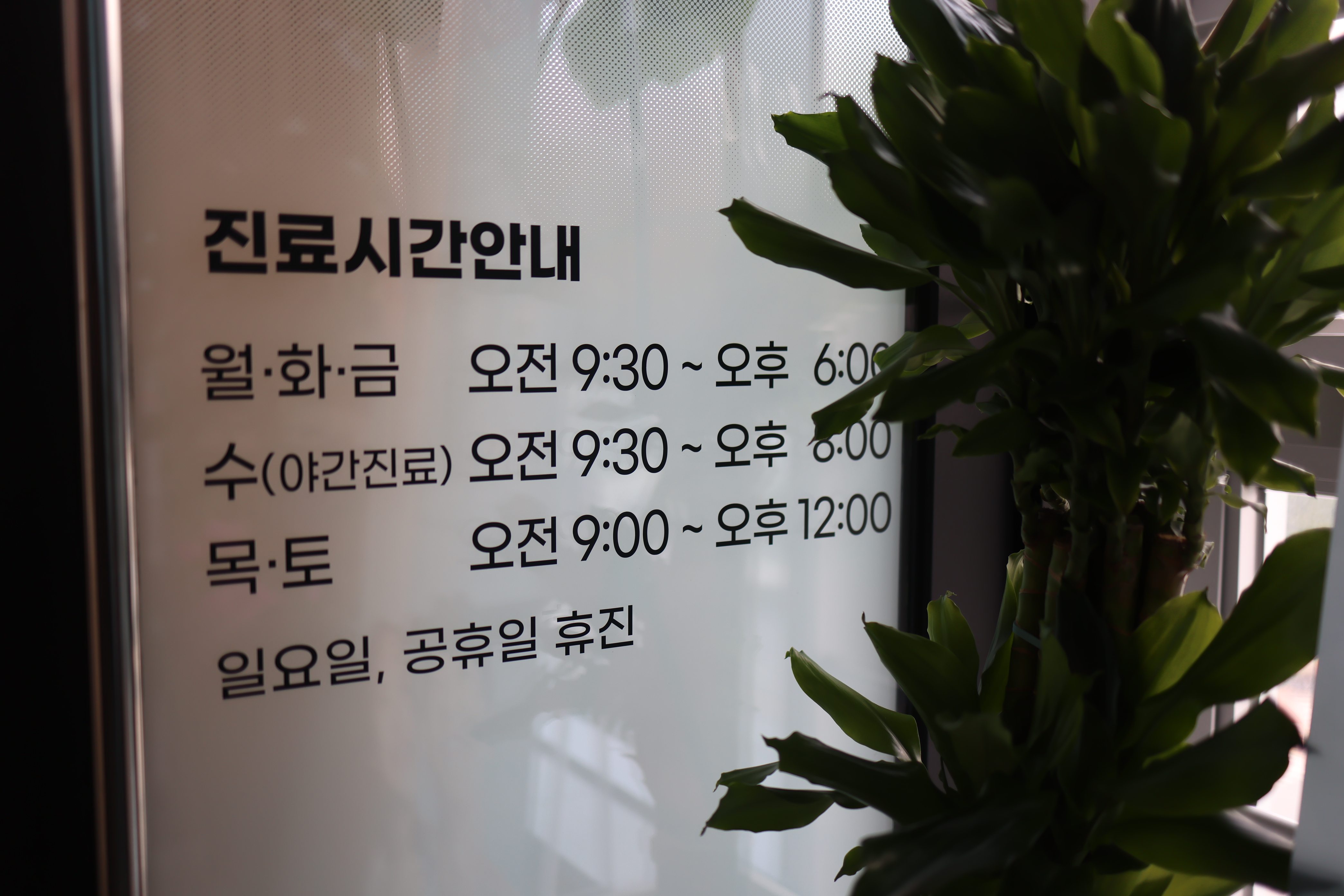 하이덴치과의원 대표 이미지