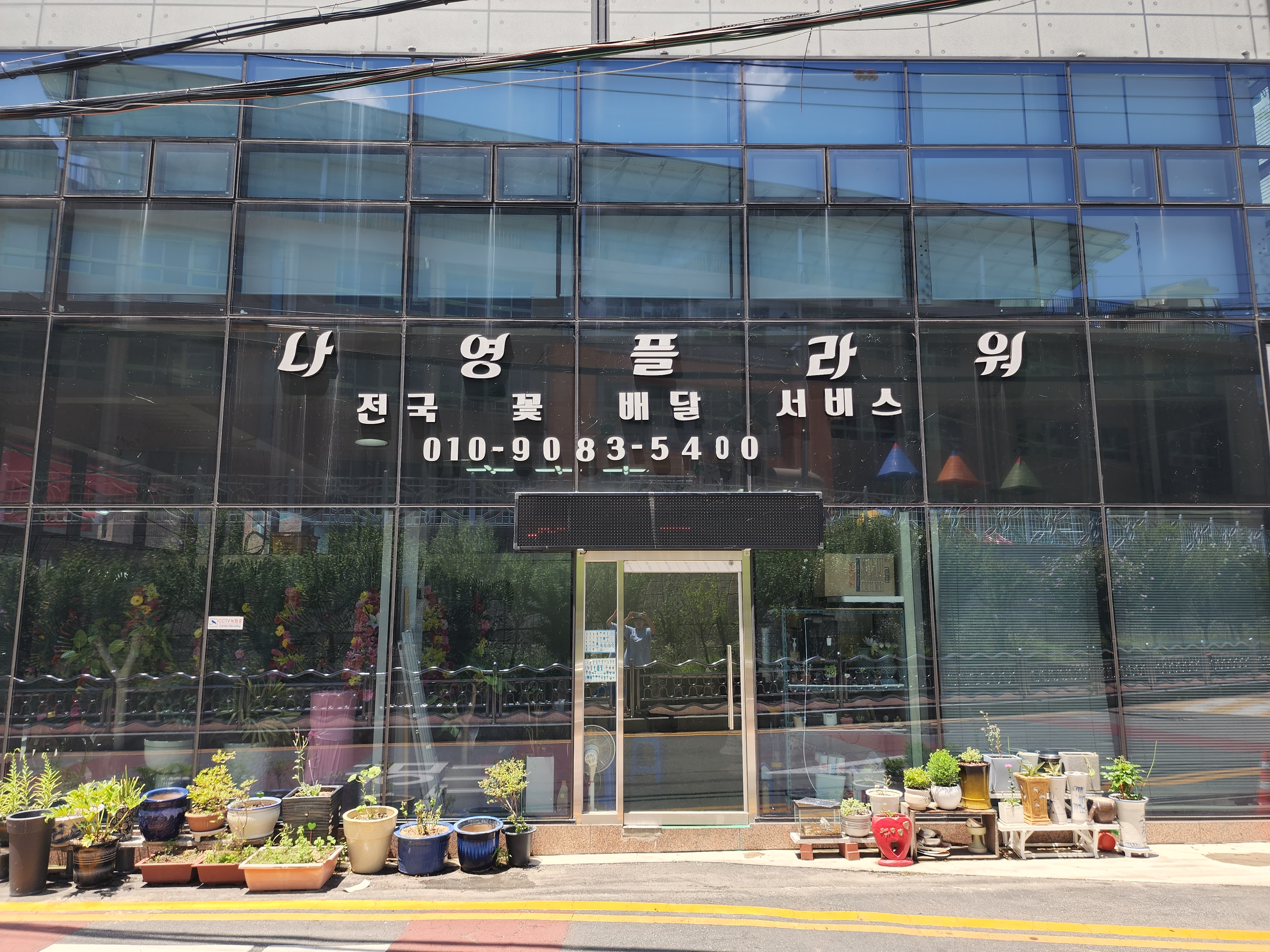 나영플라워