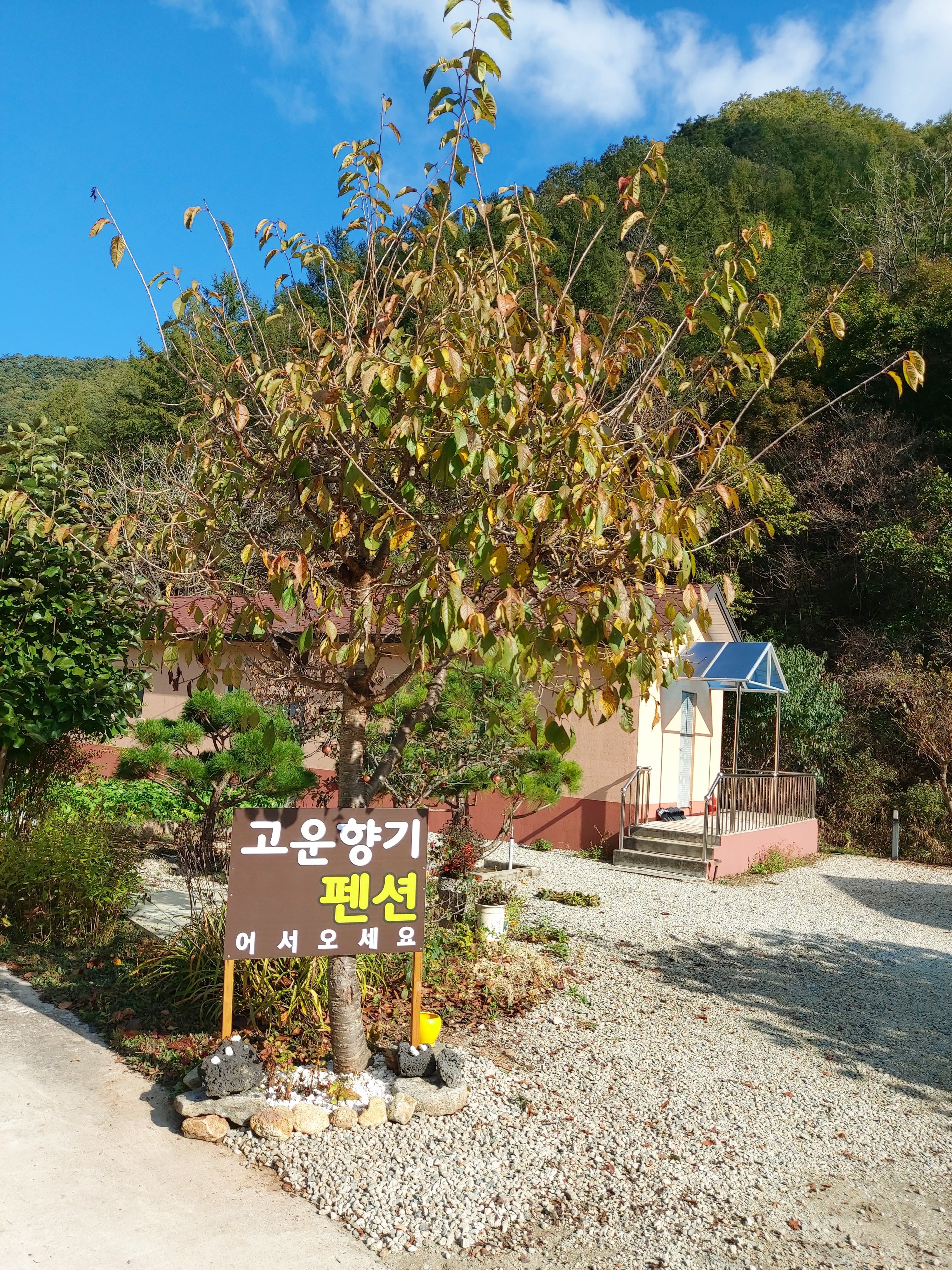고운향기펜션