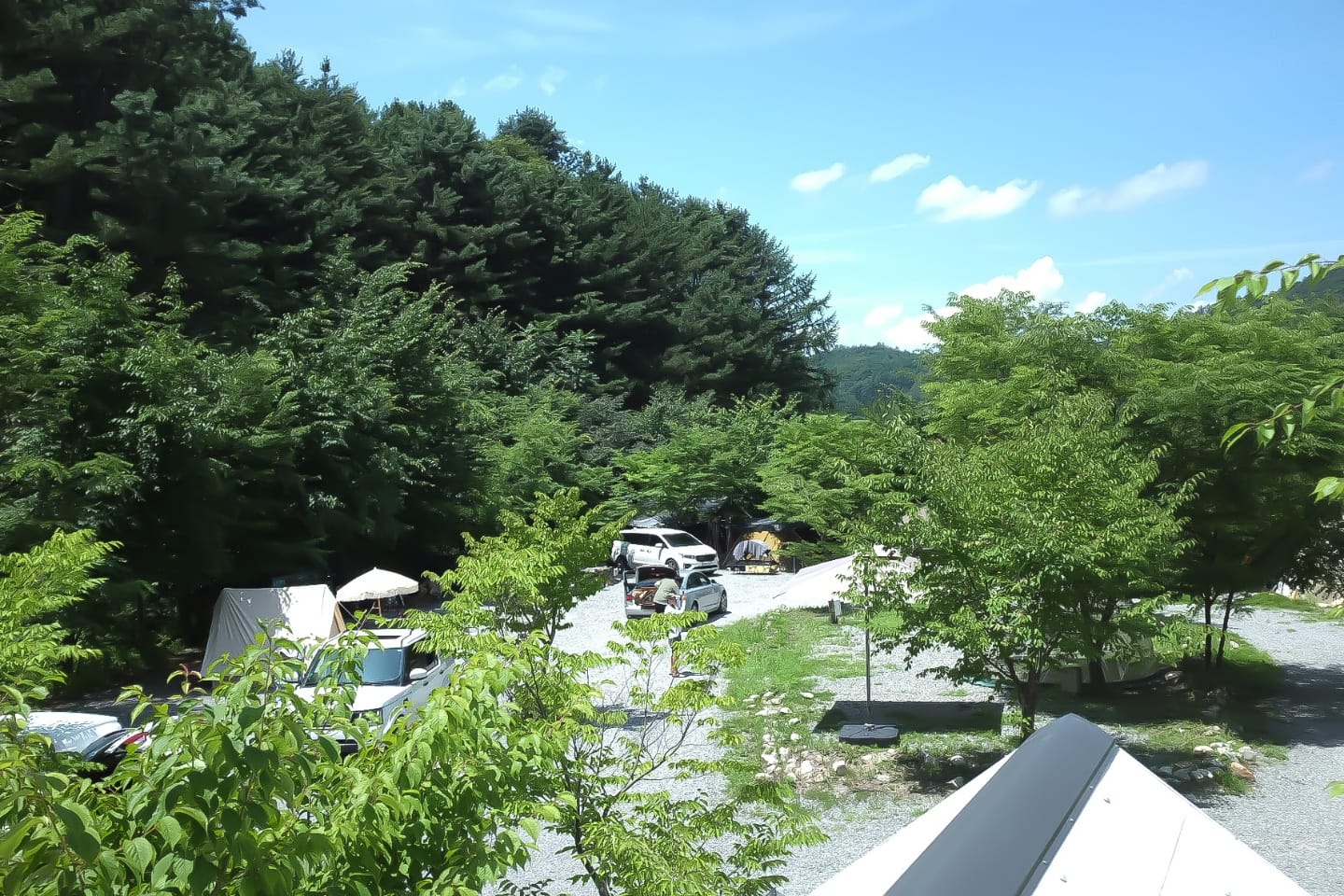 캠프하다