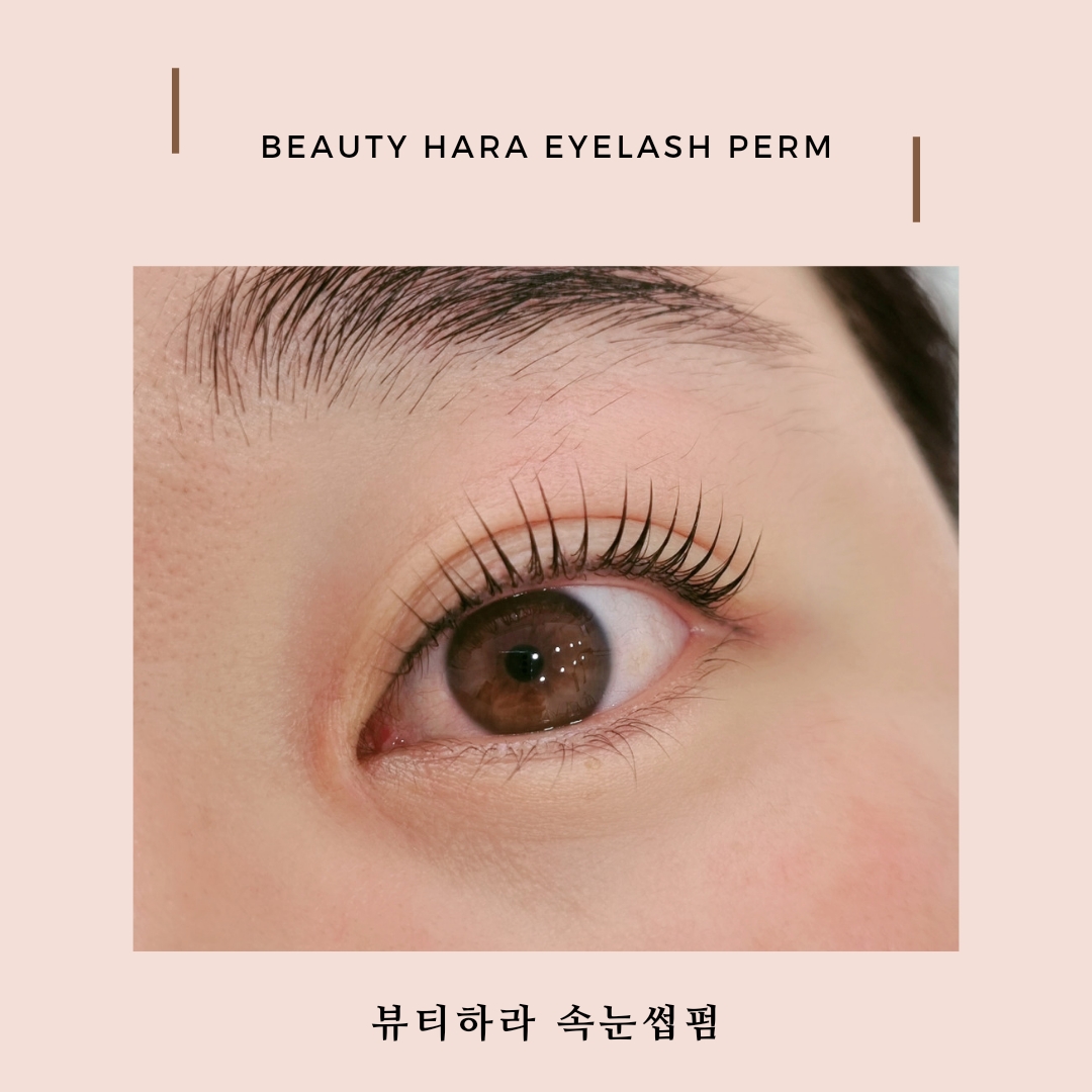 뷰티하라
