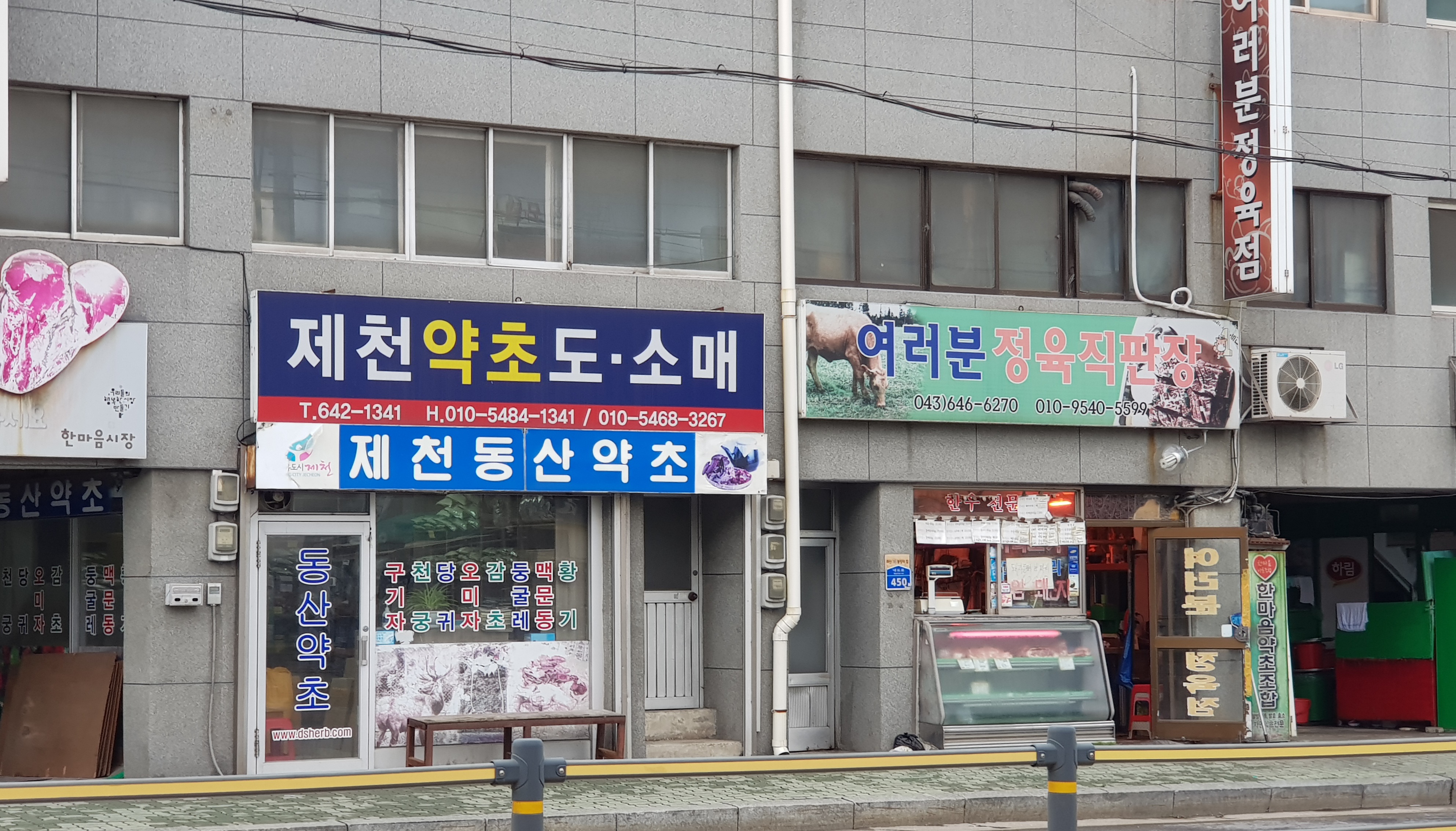 제천동산약초