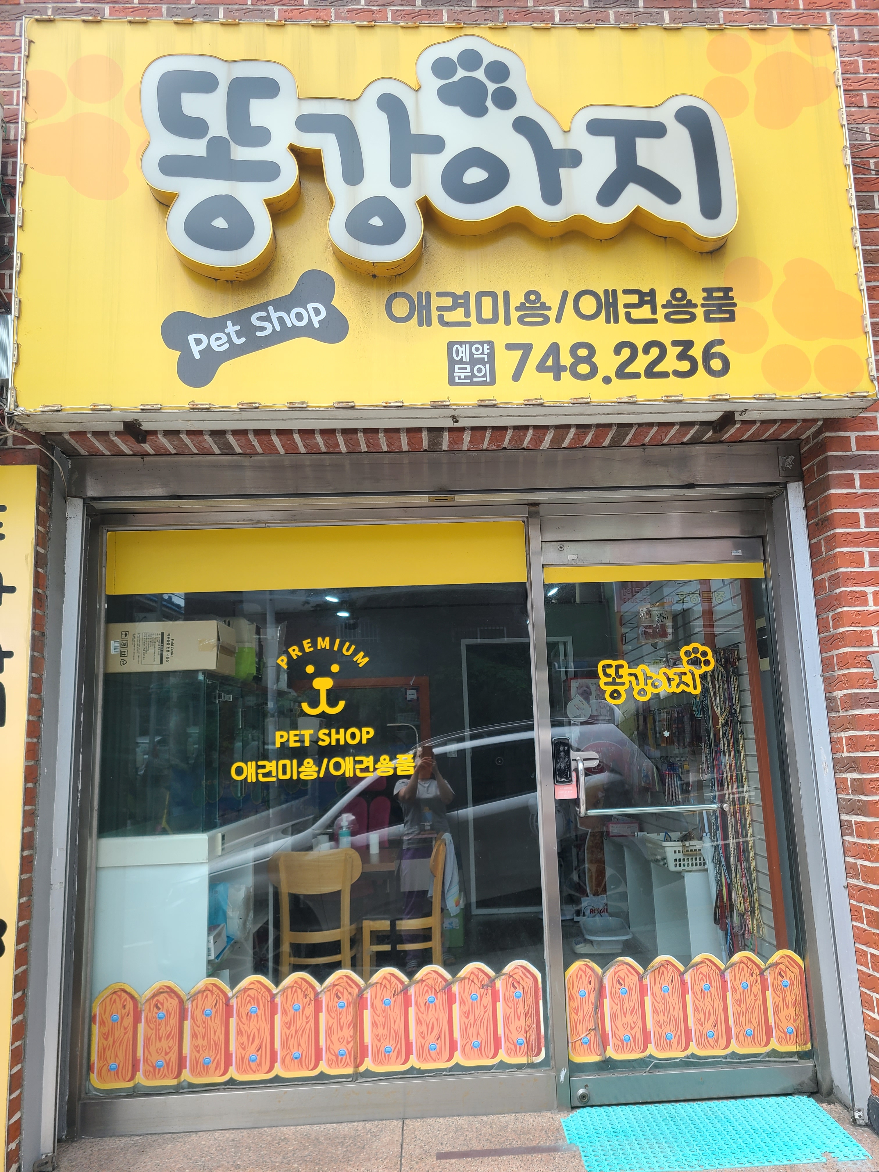 똥강아지 대표 이미지