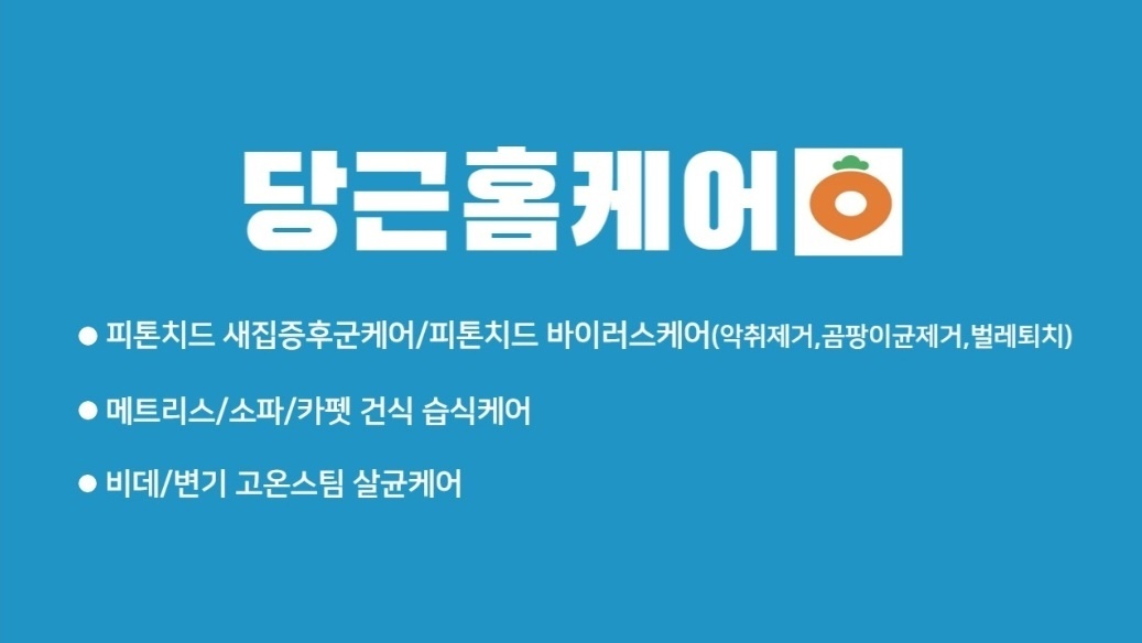 당근홈케어