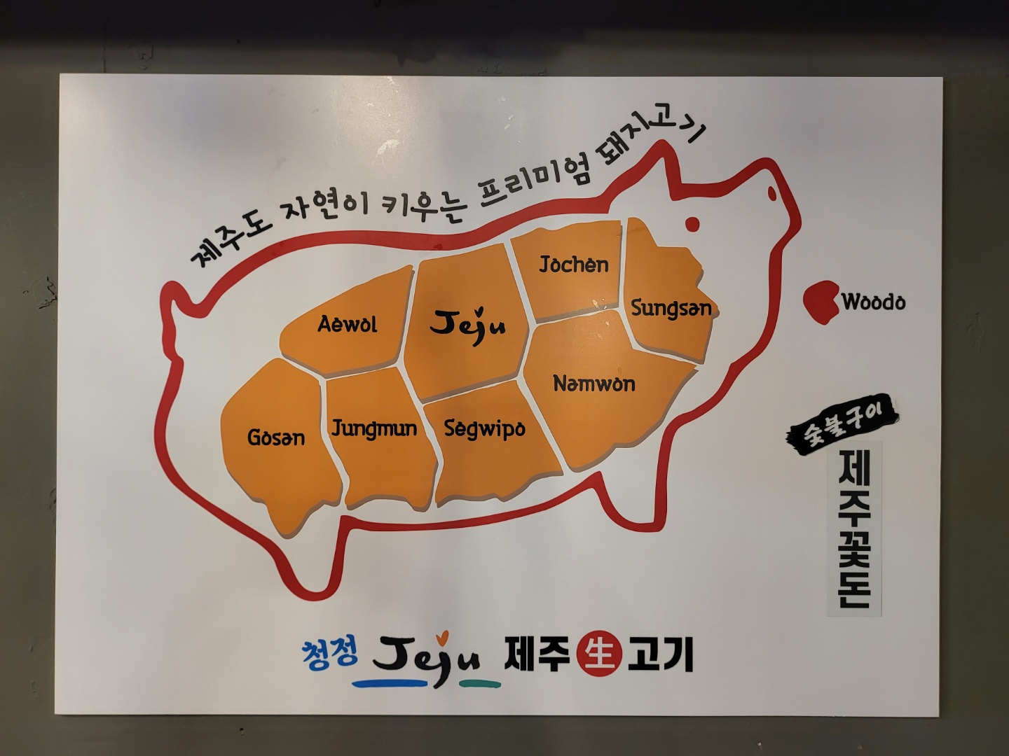 제주꽃돈