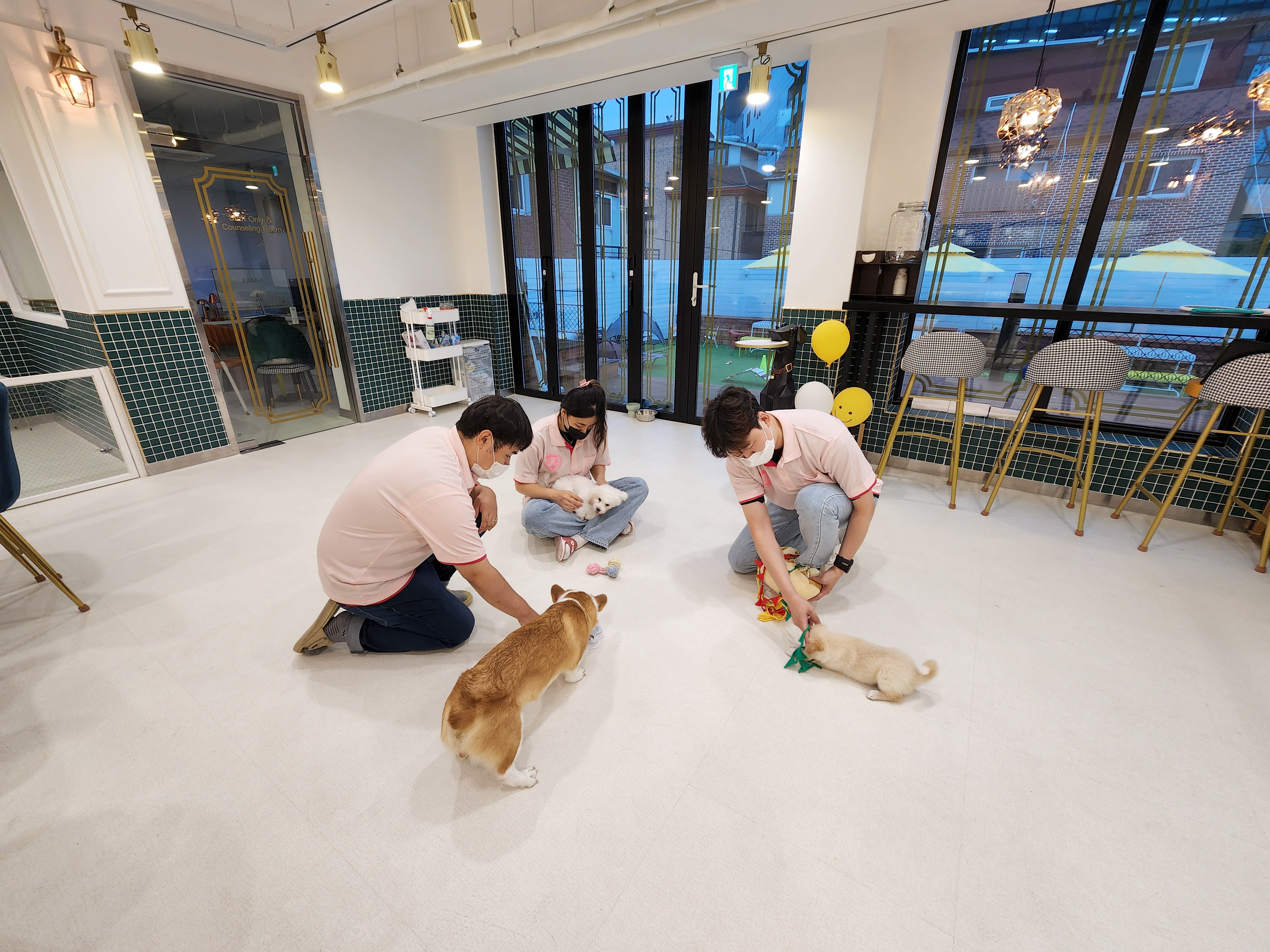 아이조아펫파크 서울점