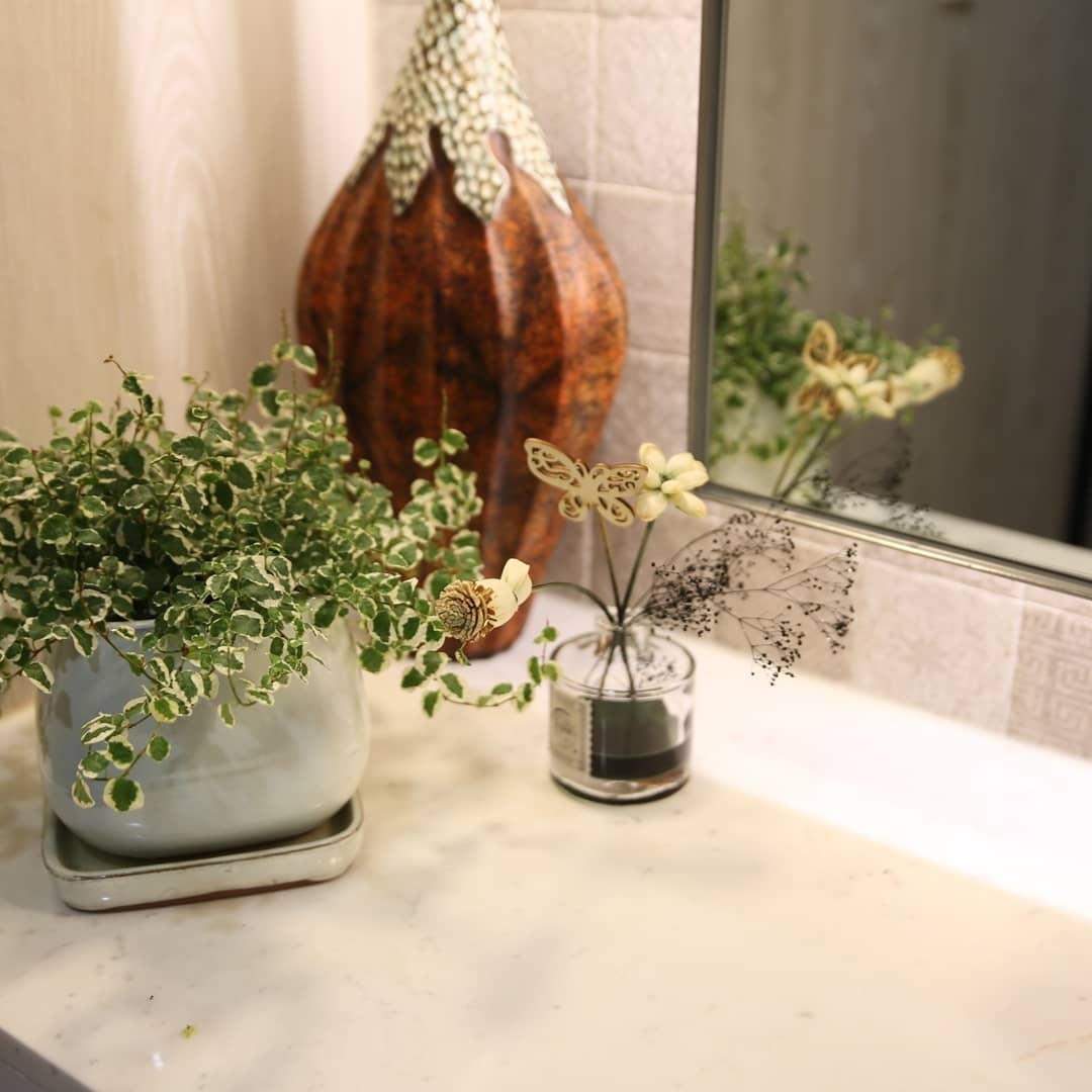 스타1의원 대표 이미지