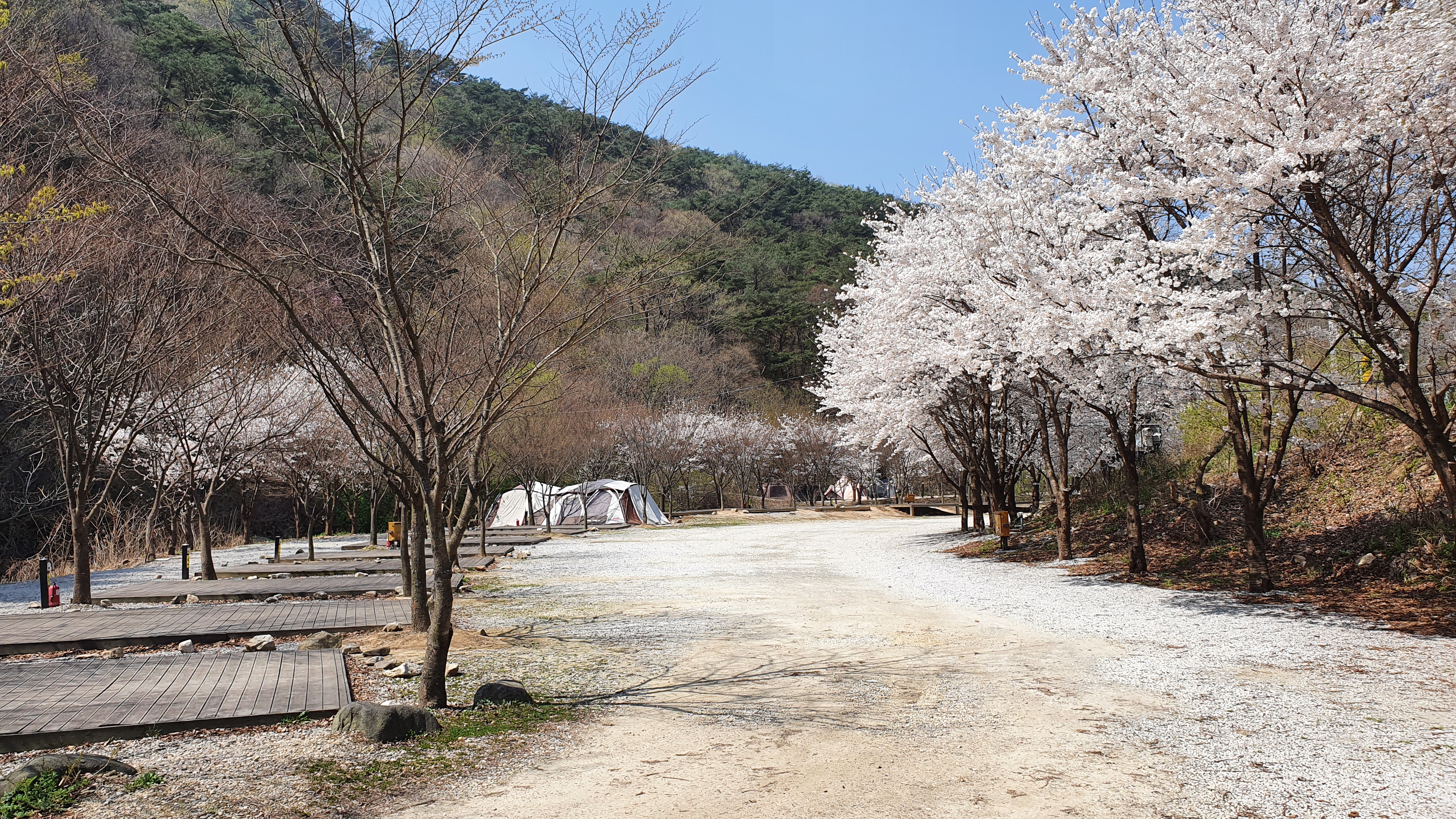 캠핑장 사진