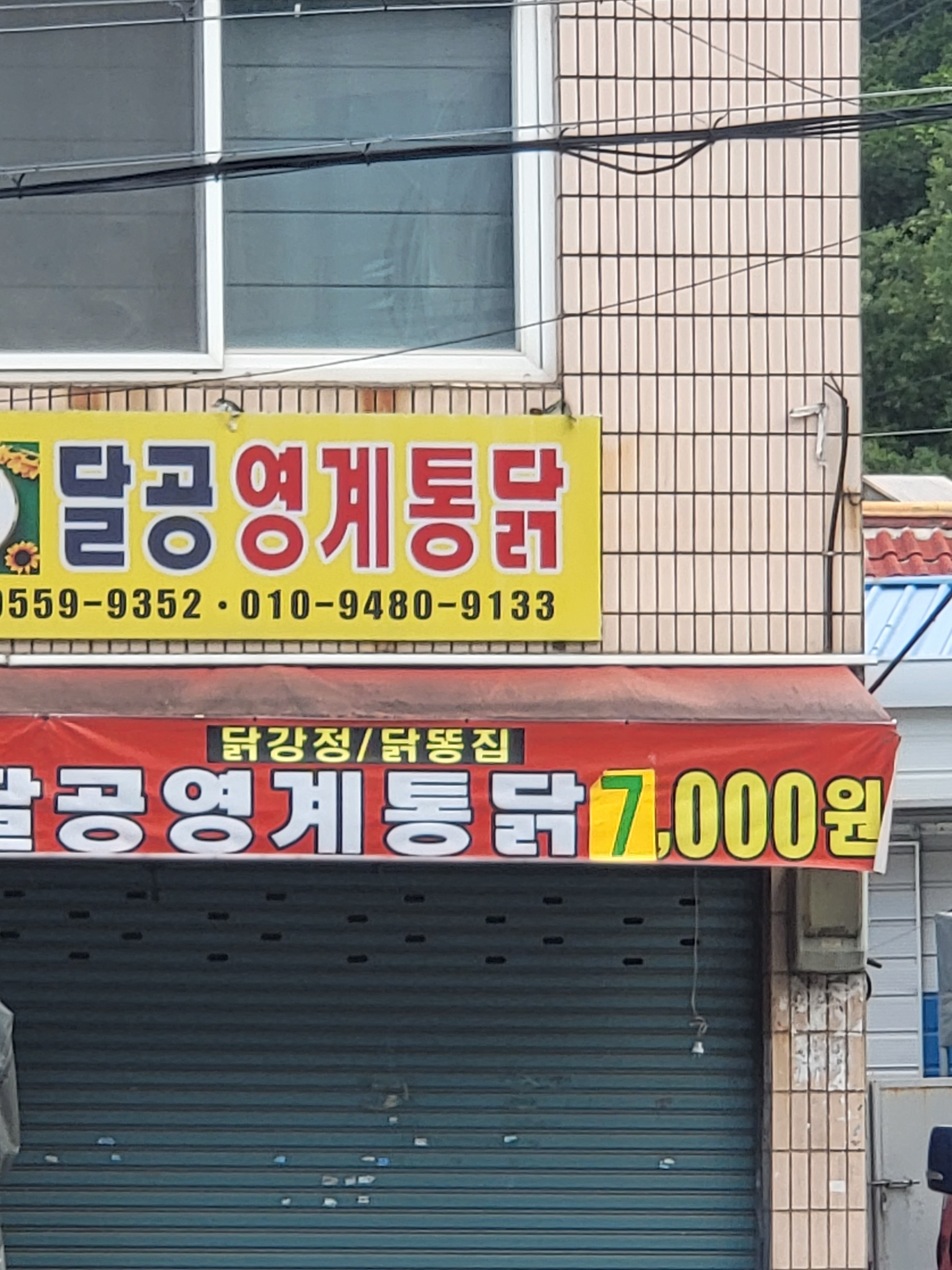 달공영계통닭 본점