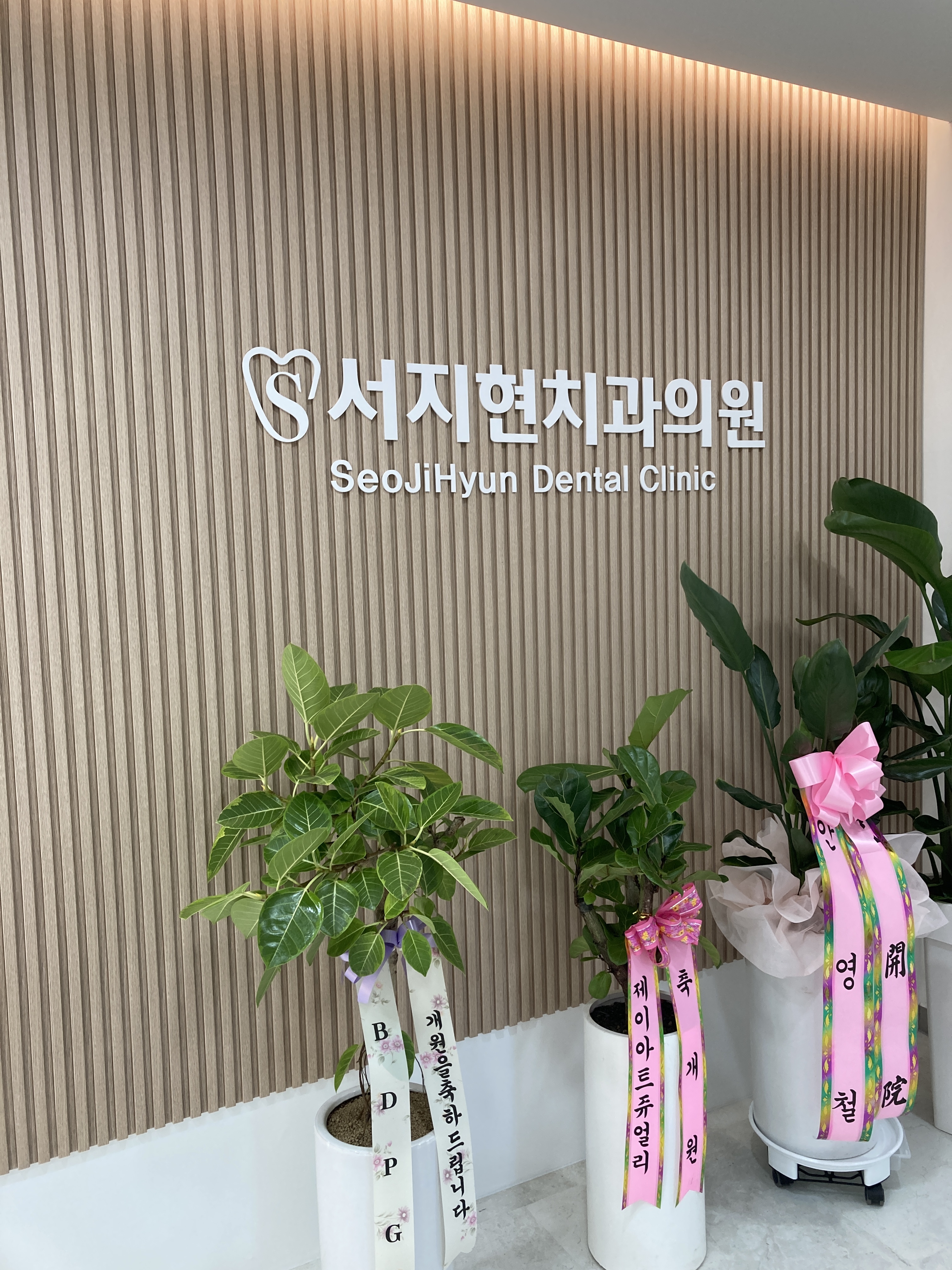 서지현치과의원 대표 이미지