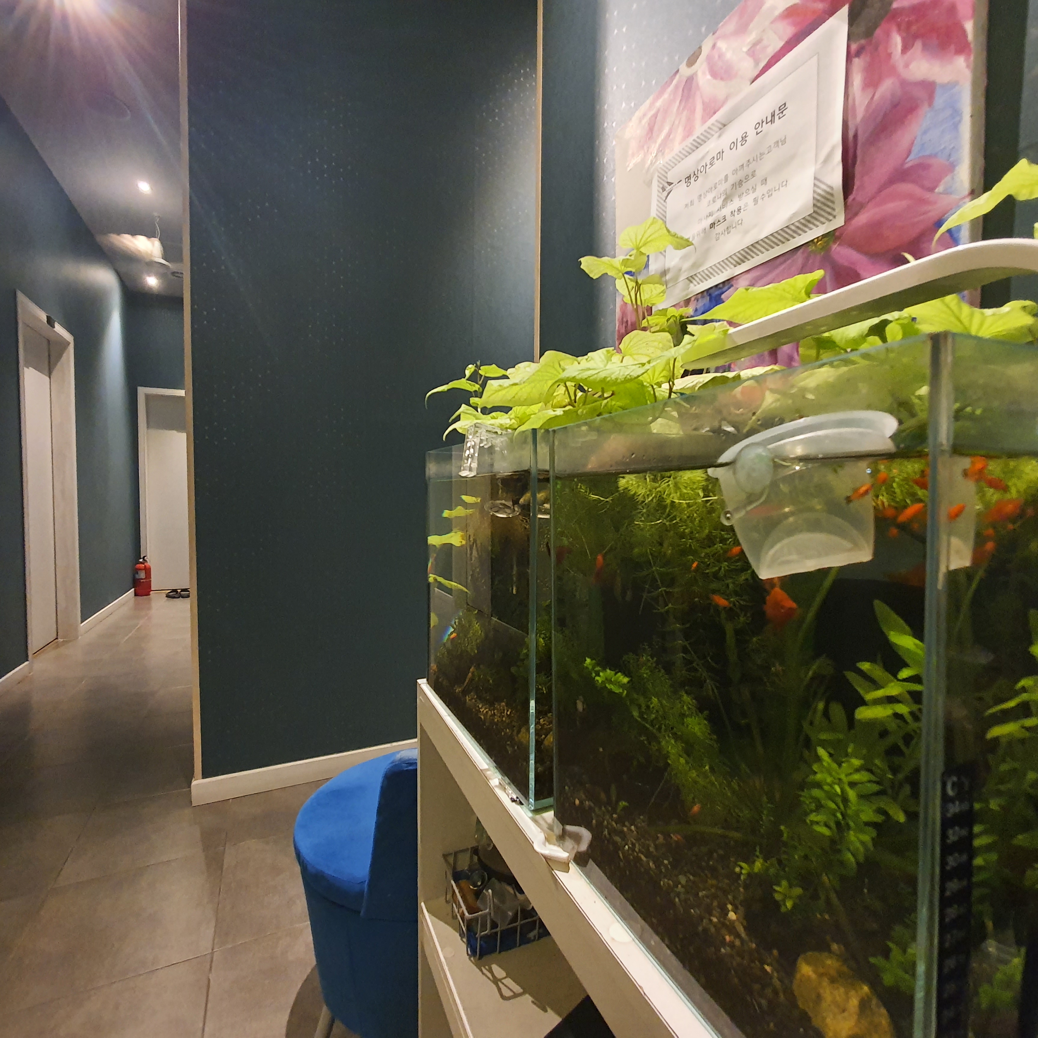명상아로마 photo 6