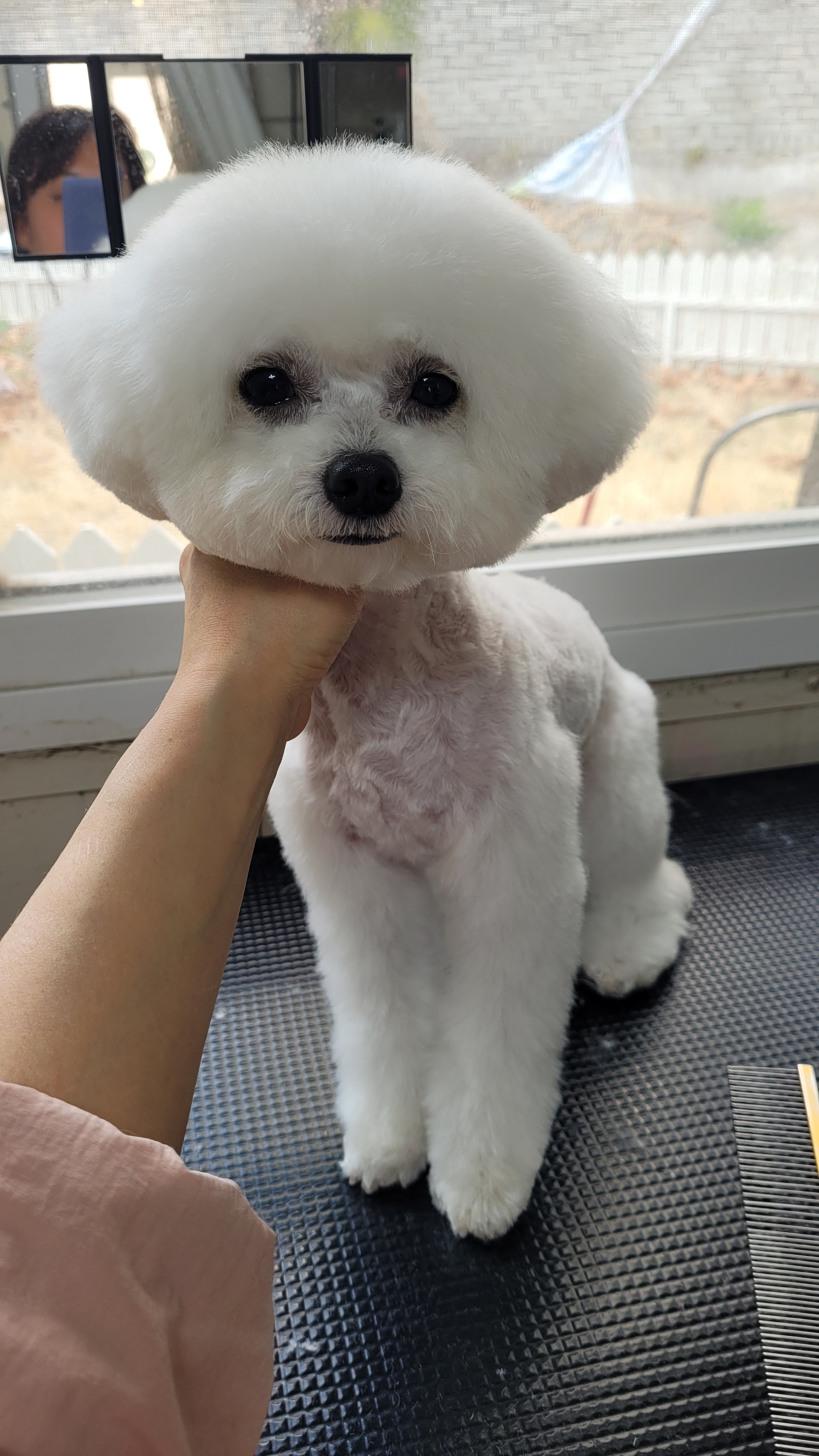 구름이 대표 이미지