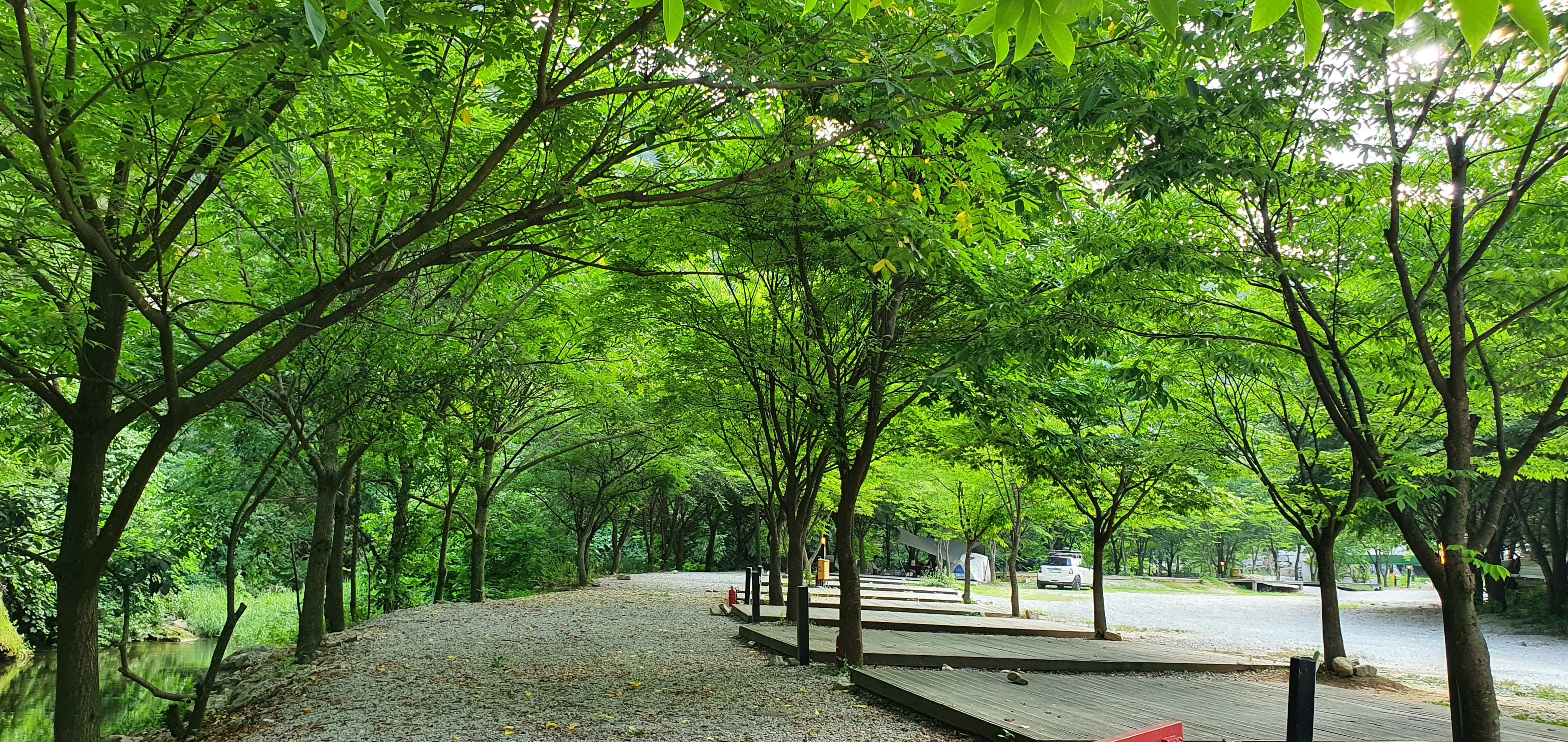 캠핑장 사진