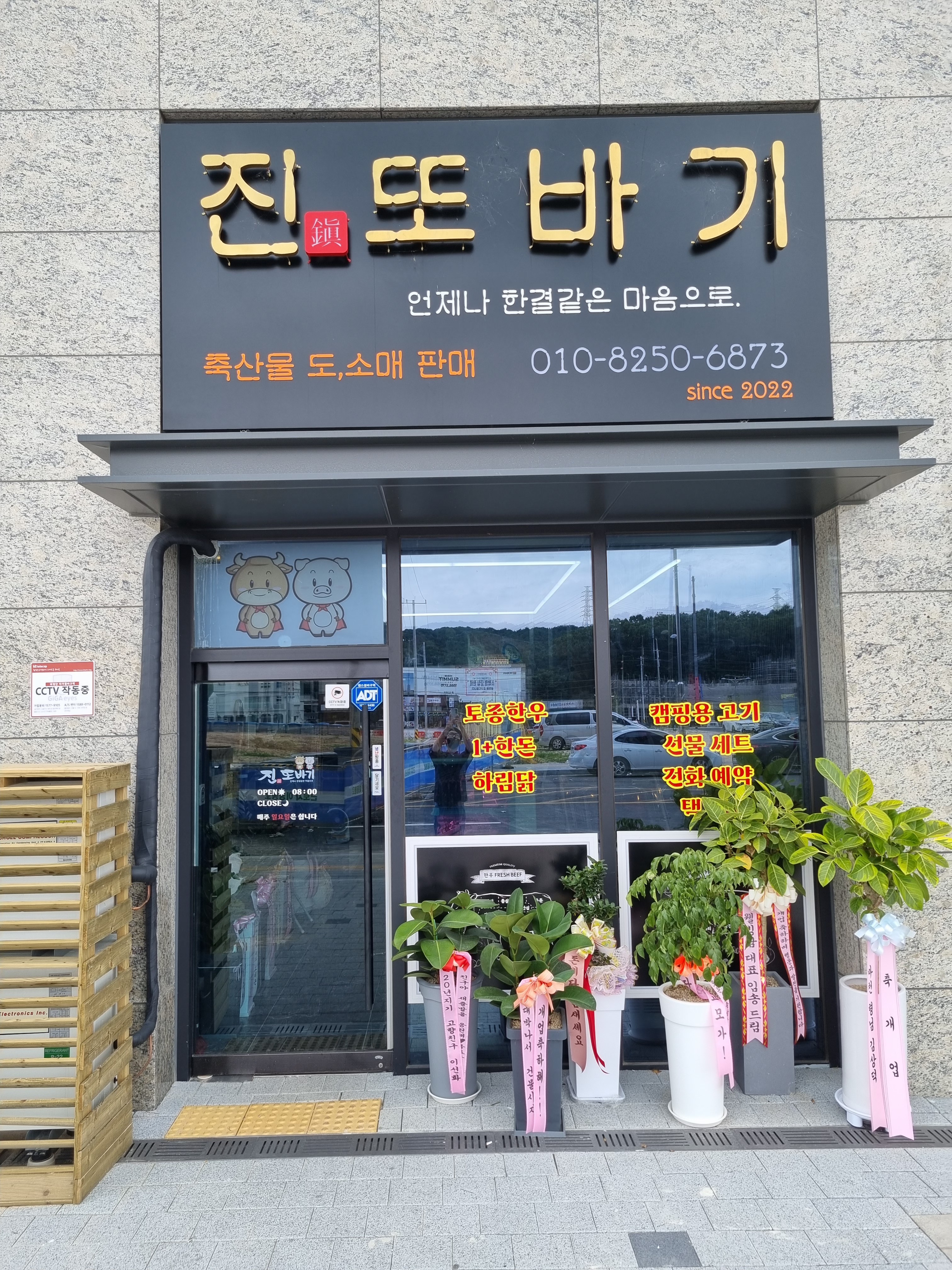 진또바기