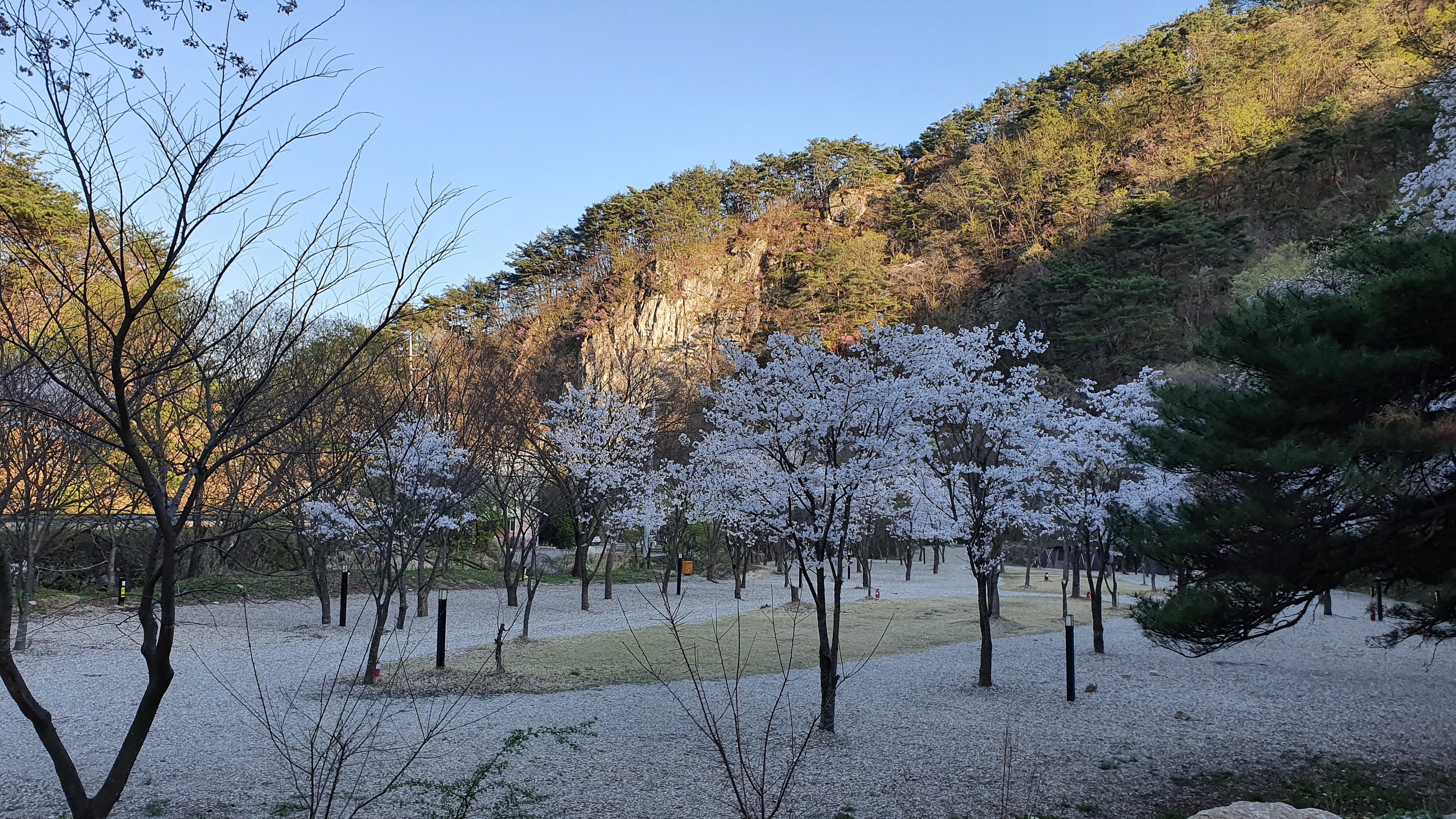 캠핑장 사진