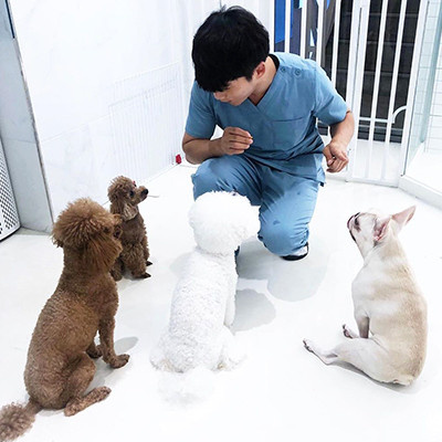 아이조아펫파크 서울점