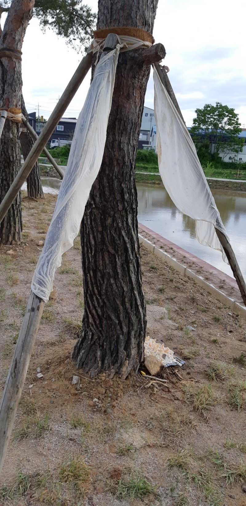 하나힐링팜