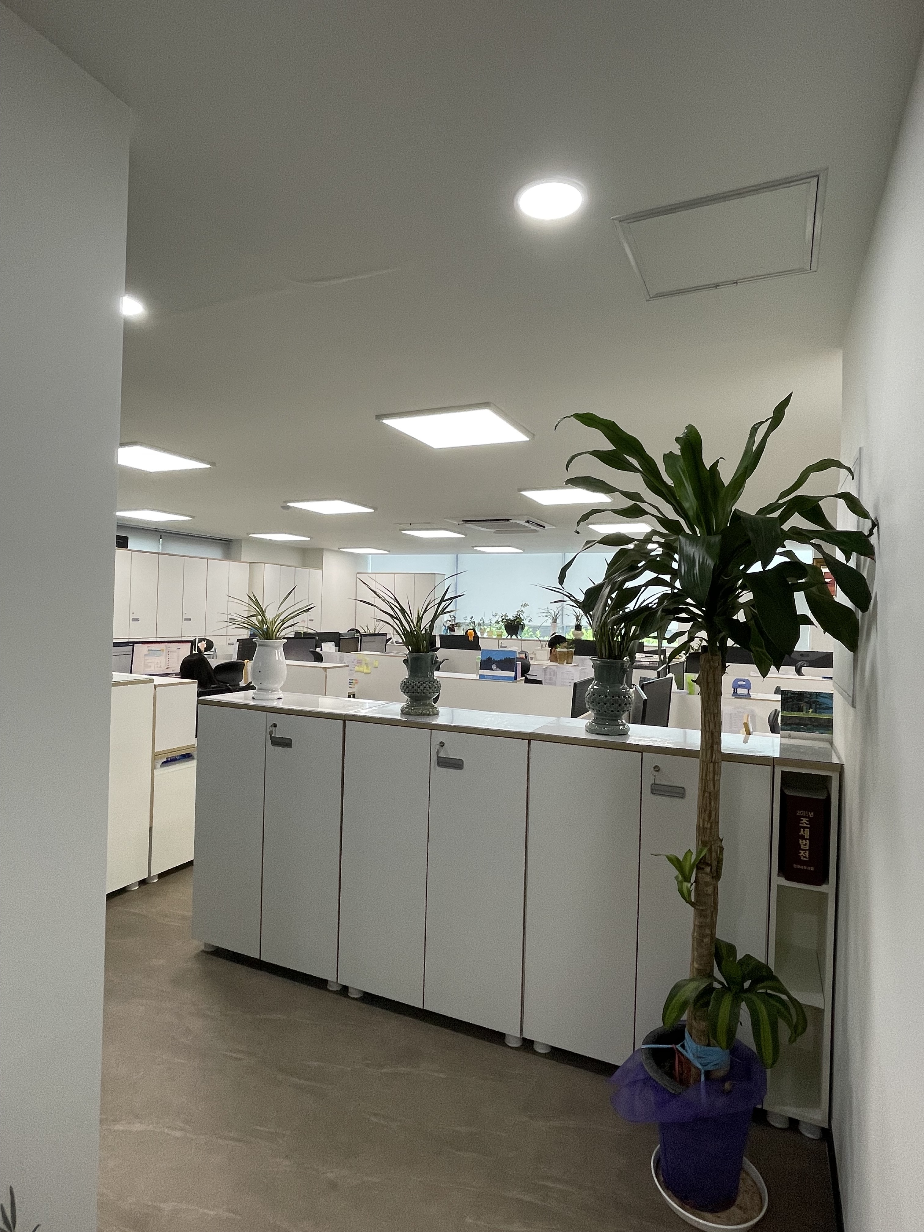 참세무법인 대표 이미지