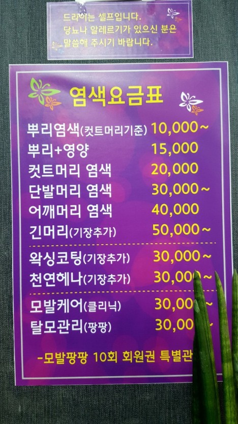 큐사랑 본원점