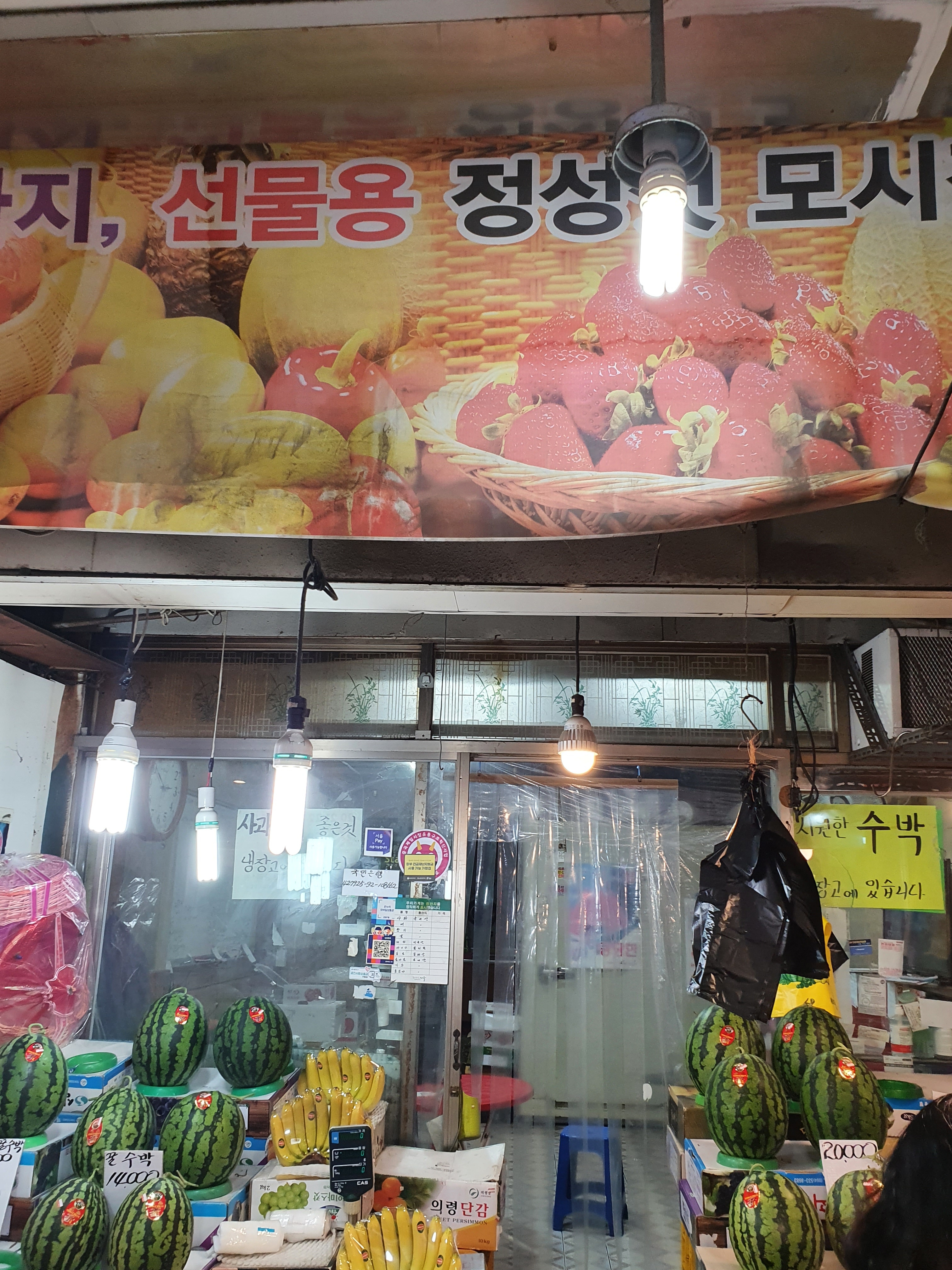 싱싱청과