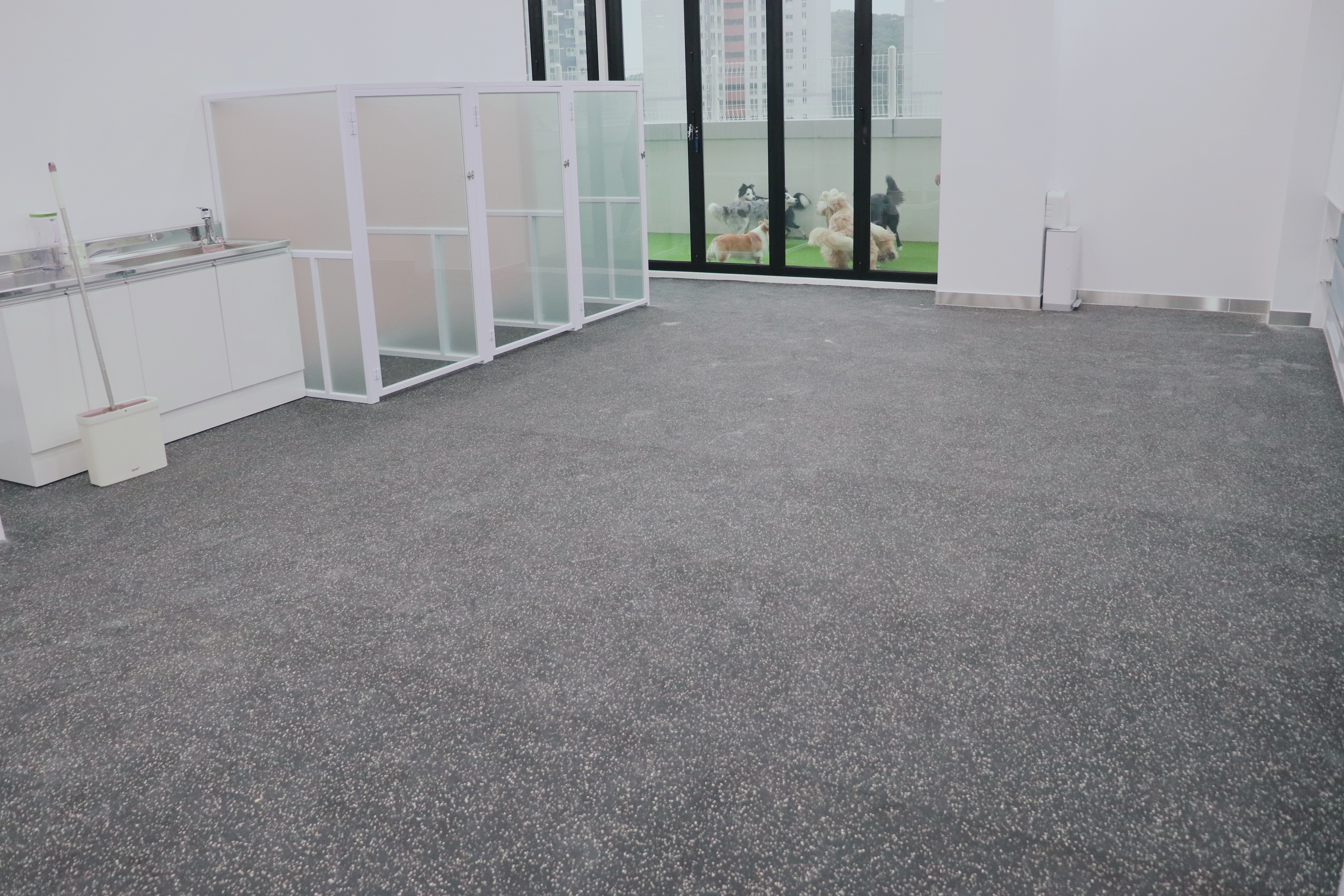 도그어스플래닛 영종도점 대표 이미지