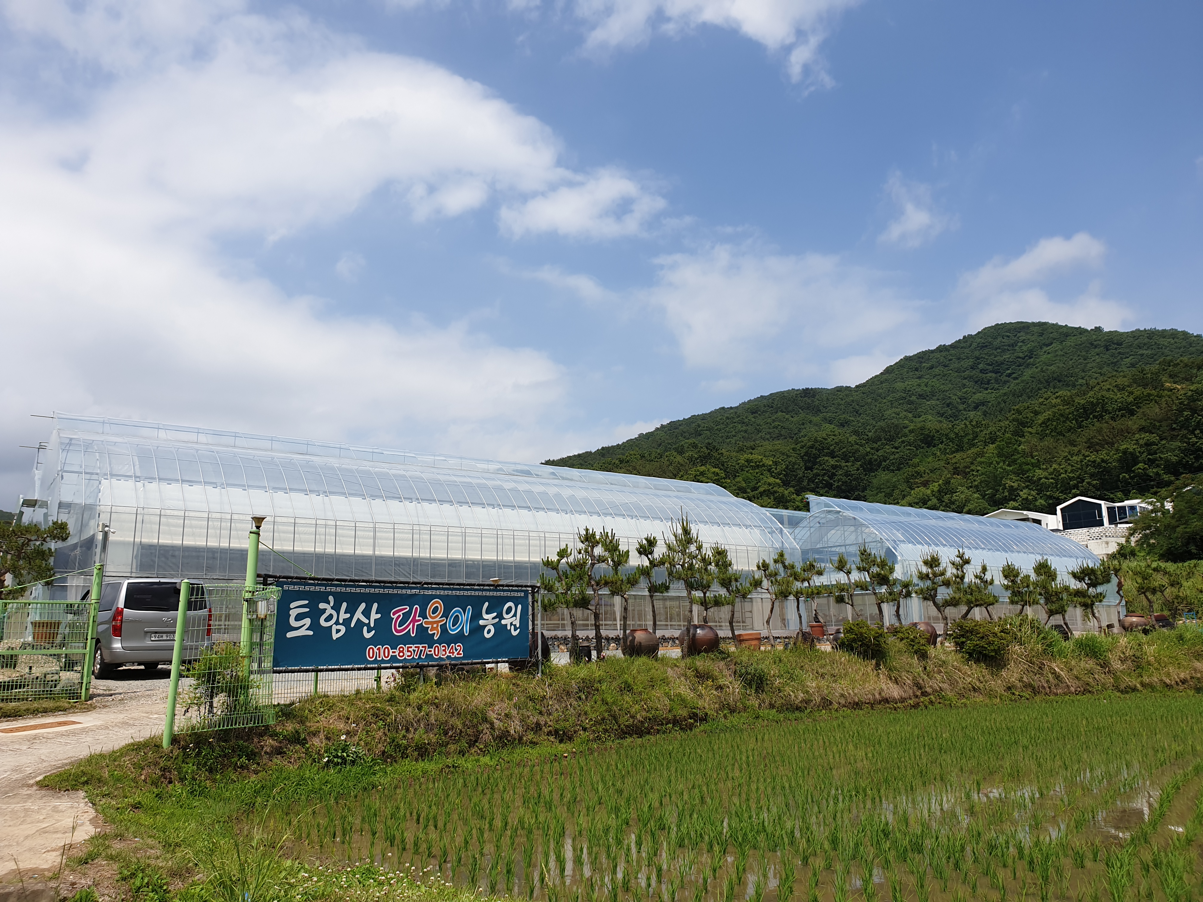 토함산 다육이 야생화농원