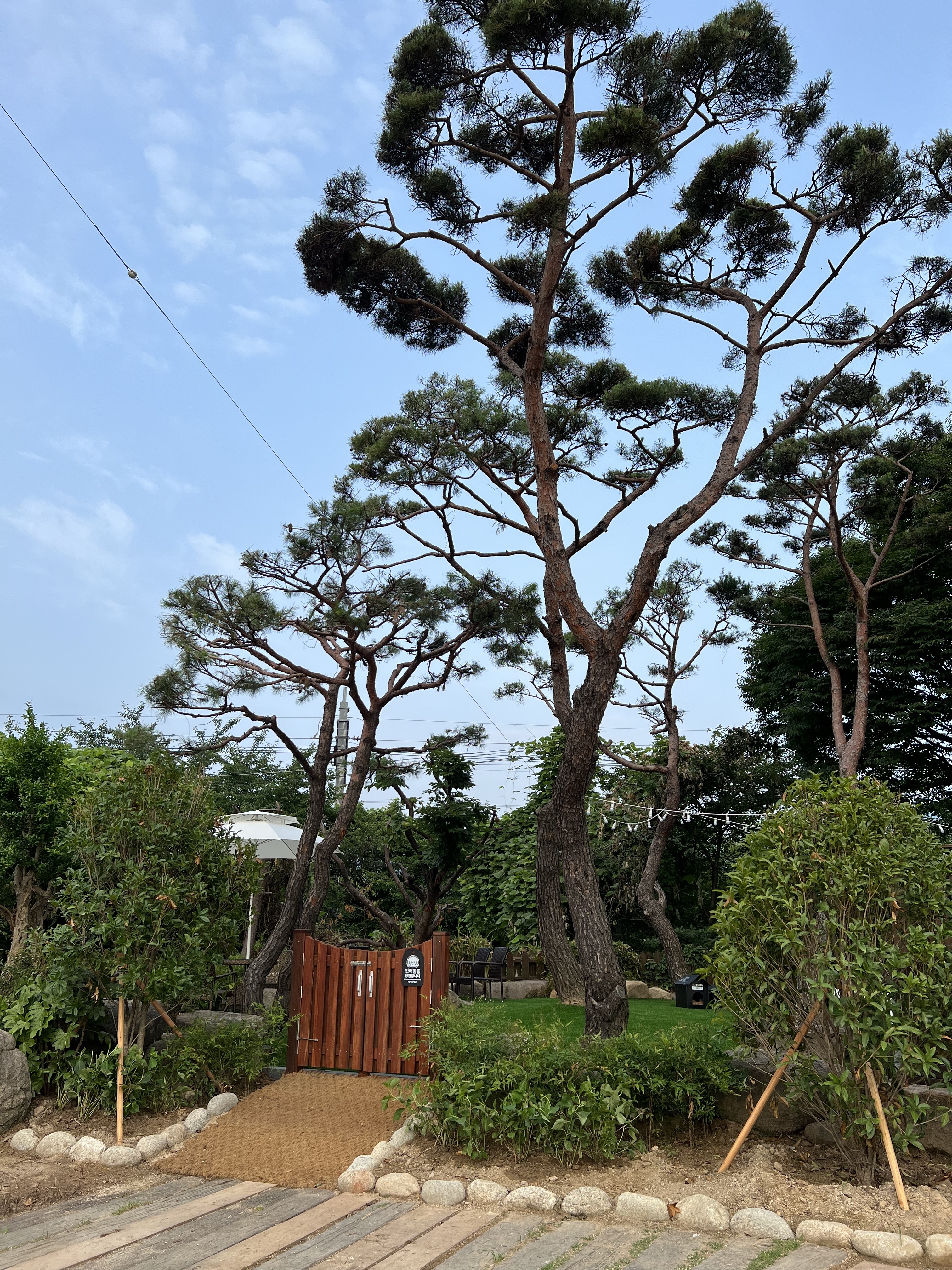 호포카페 보네르