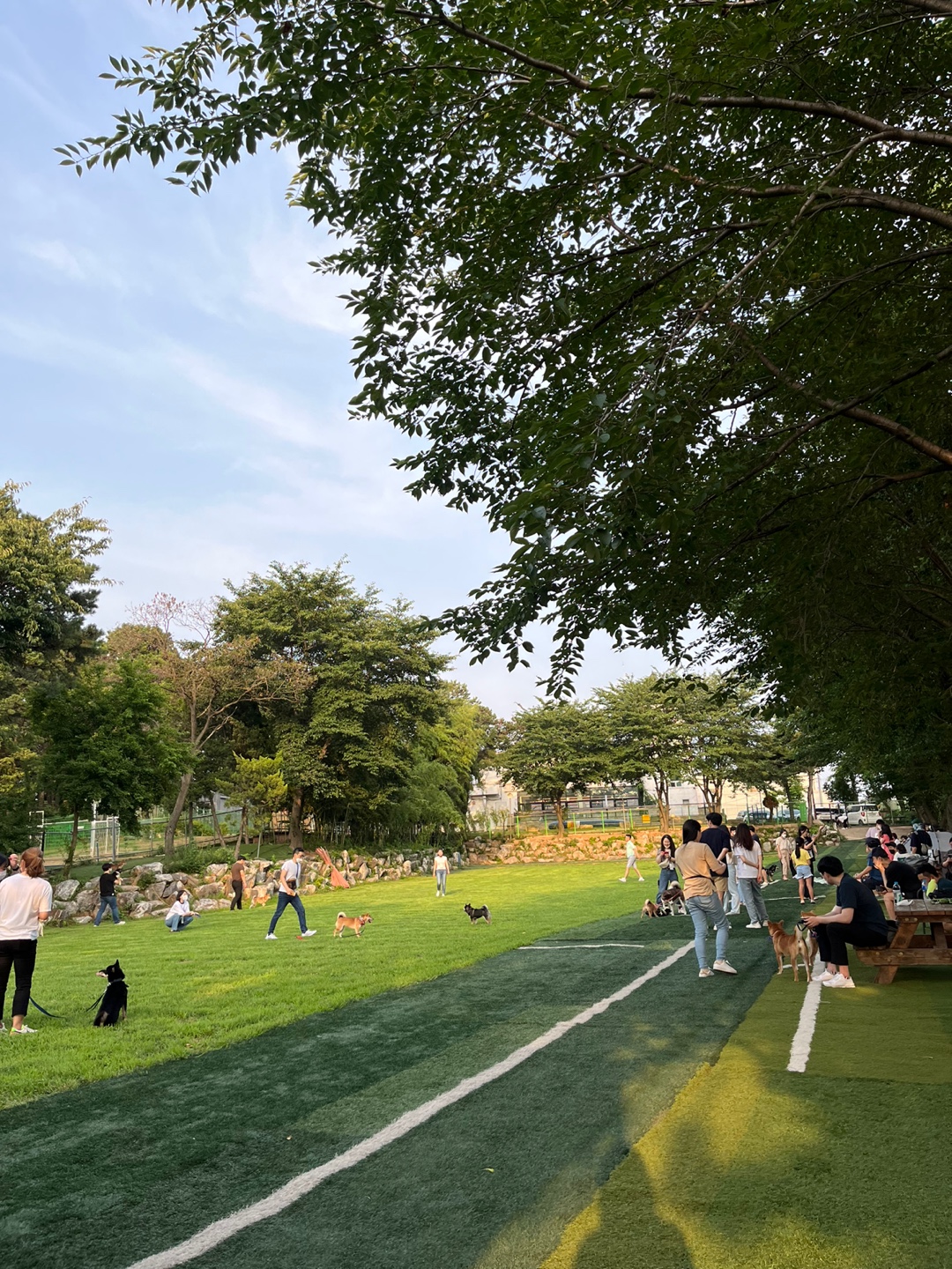 드린겐애견테마파크 대표 이미지