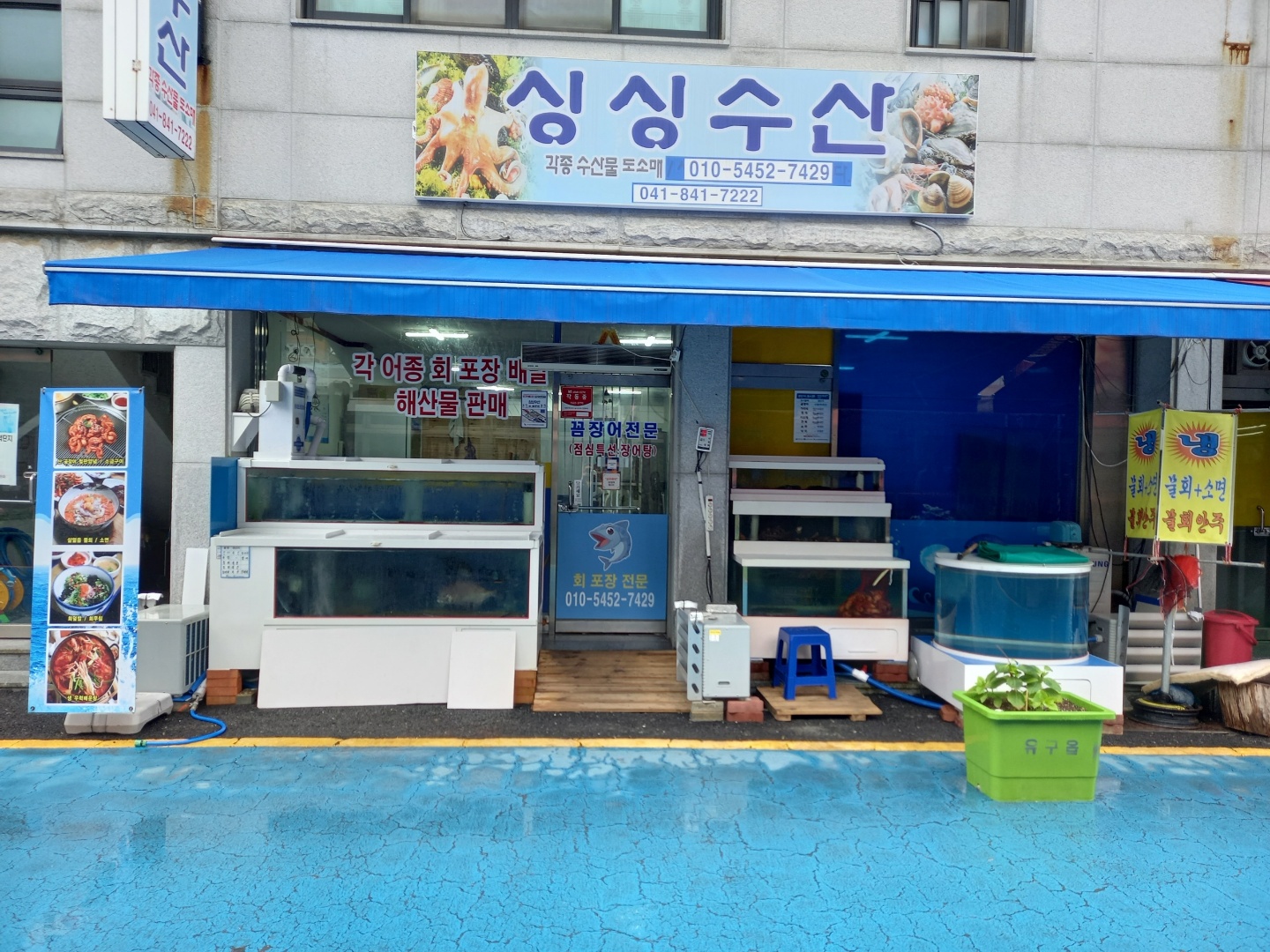싱싱회수산
