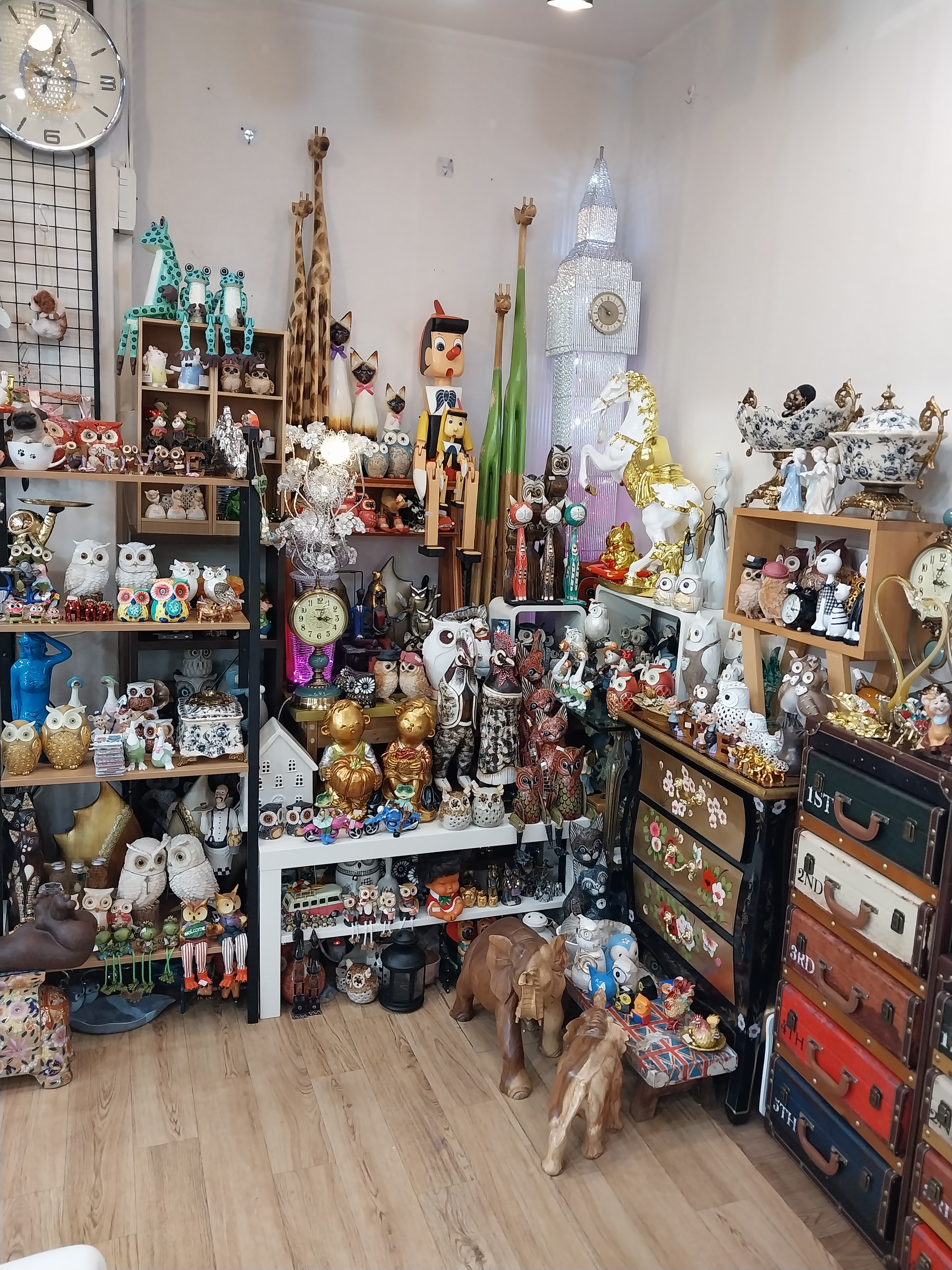 미미 대표 이미지