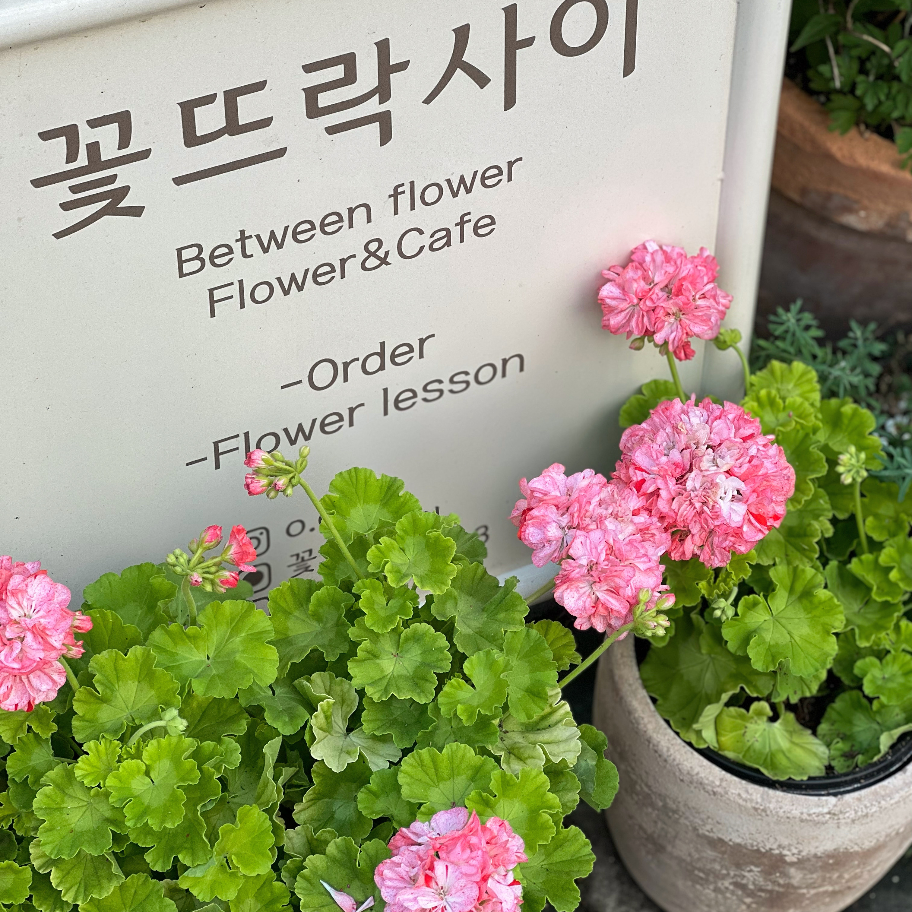 꽃뜨락사이