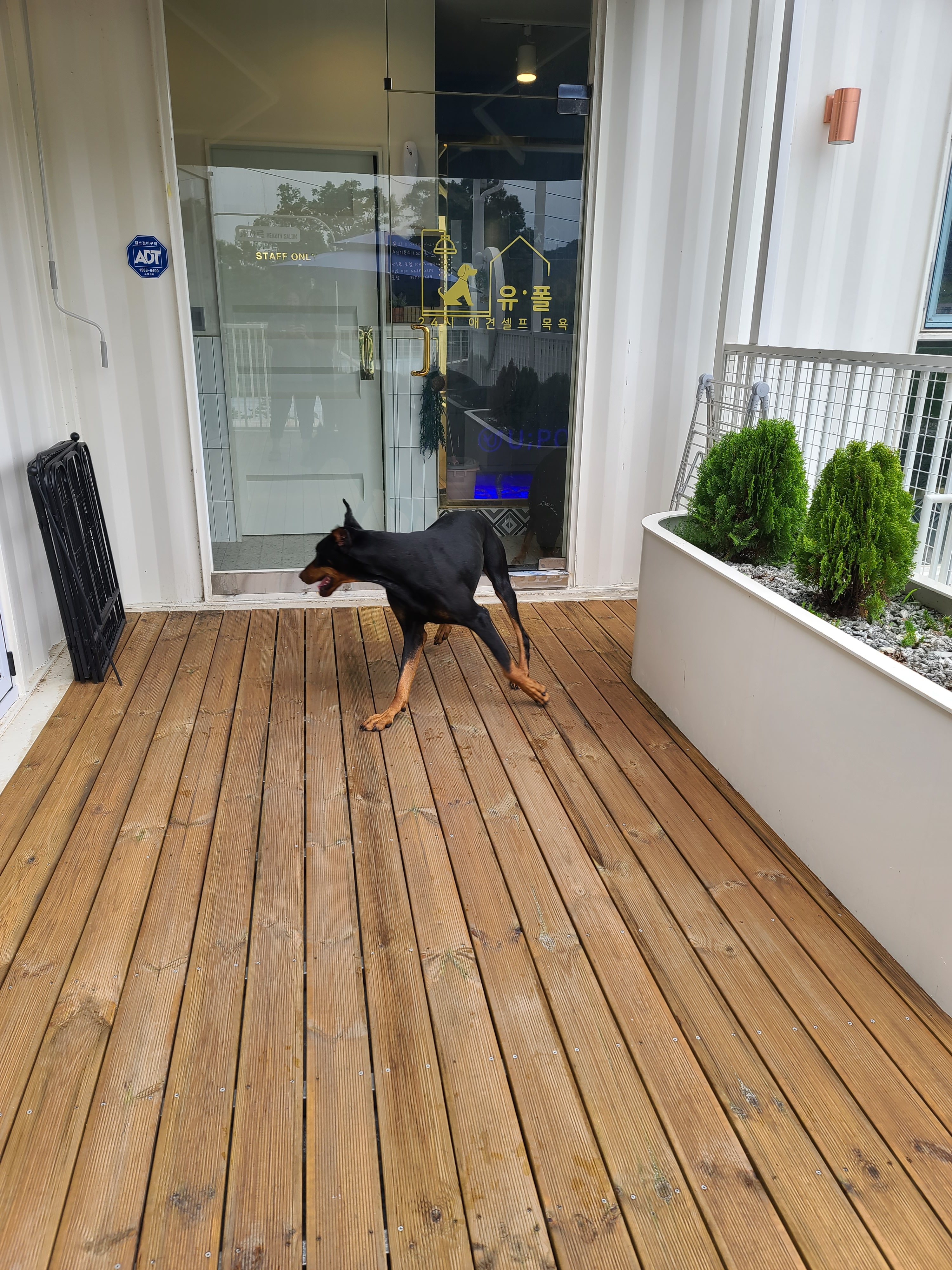 듀파르 대표 이미지