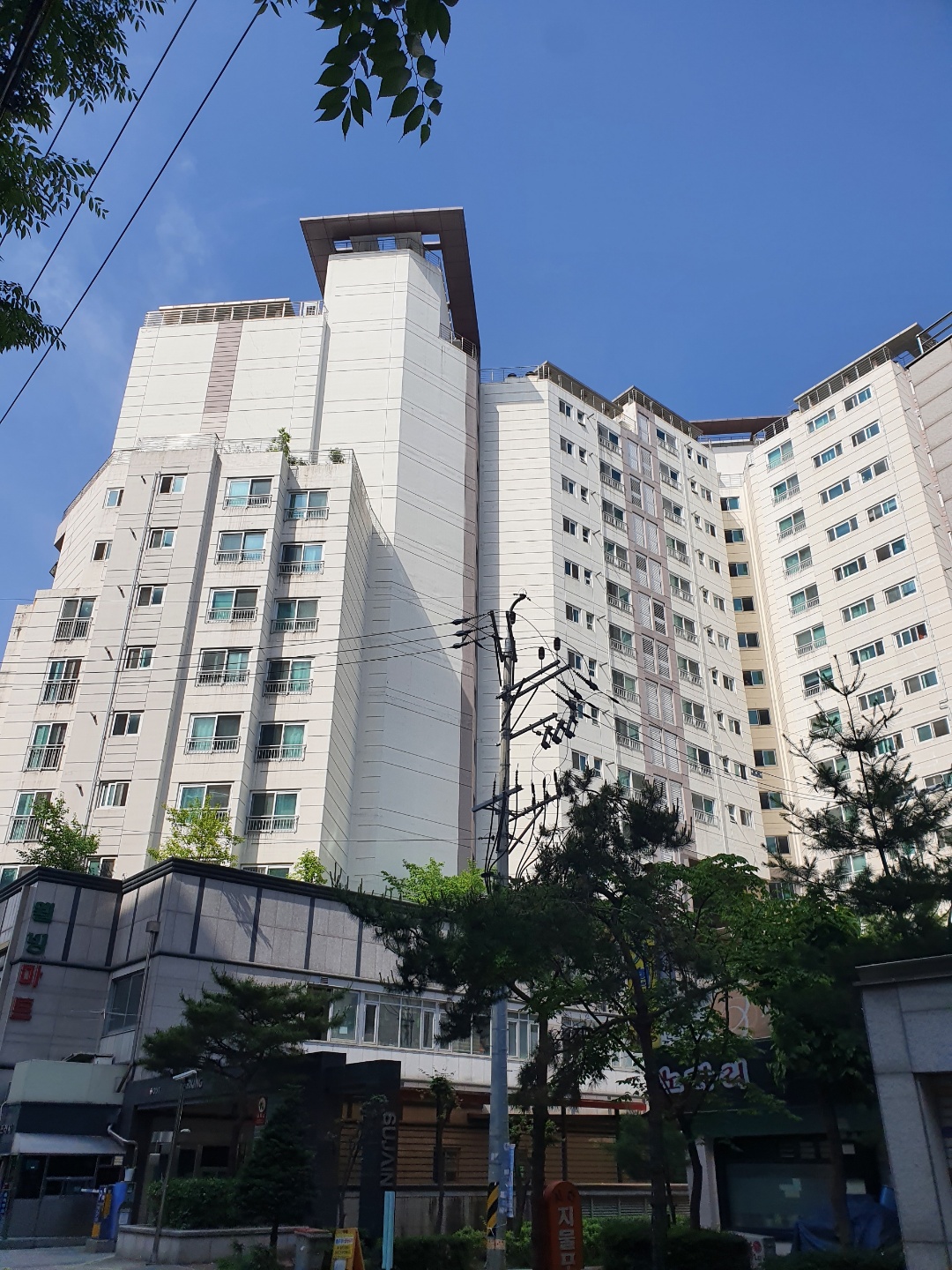 월드씨엔