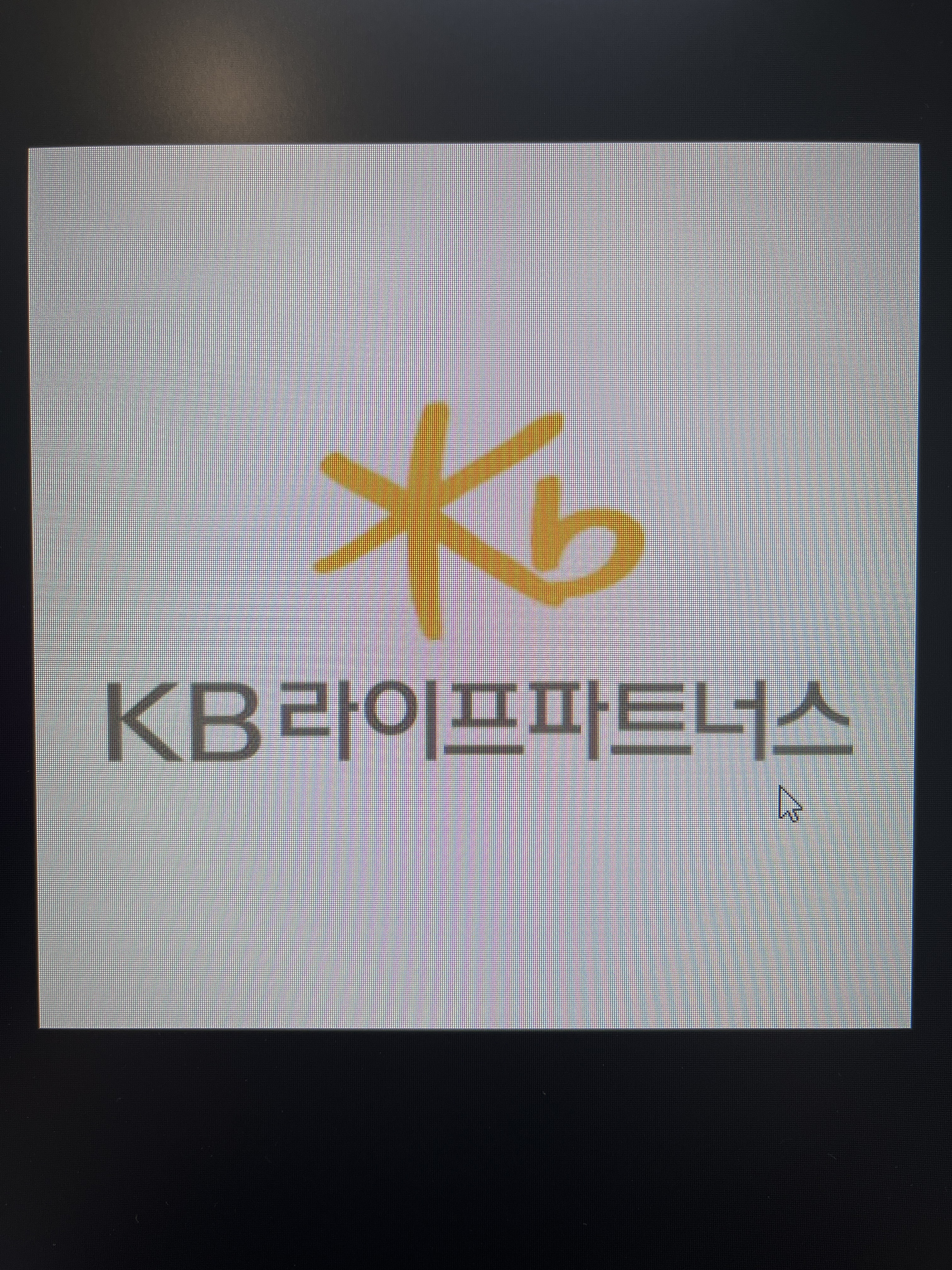 KB라이프파트너스 가인지점