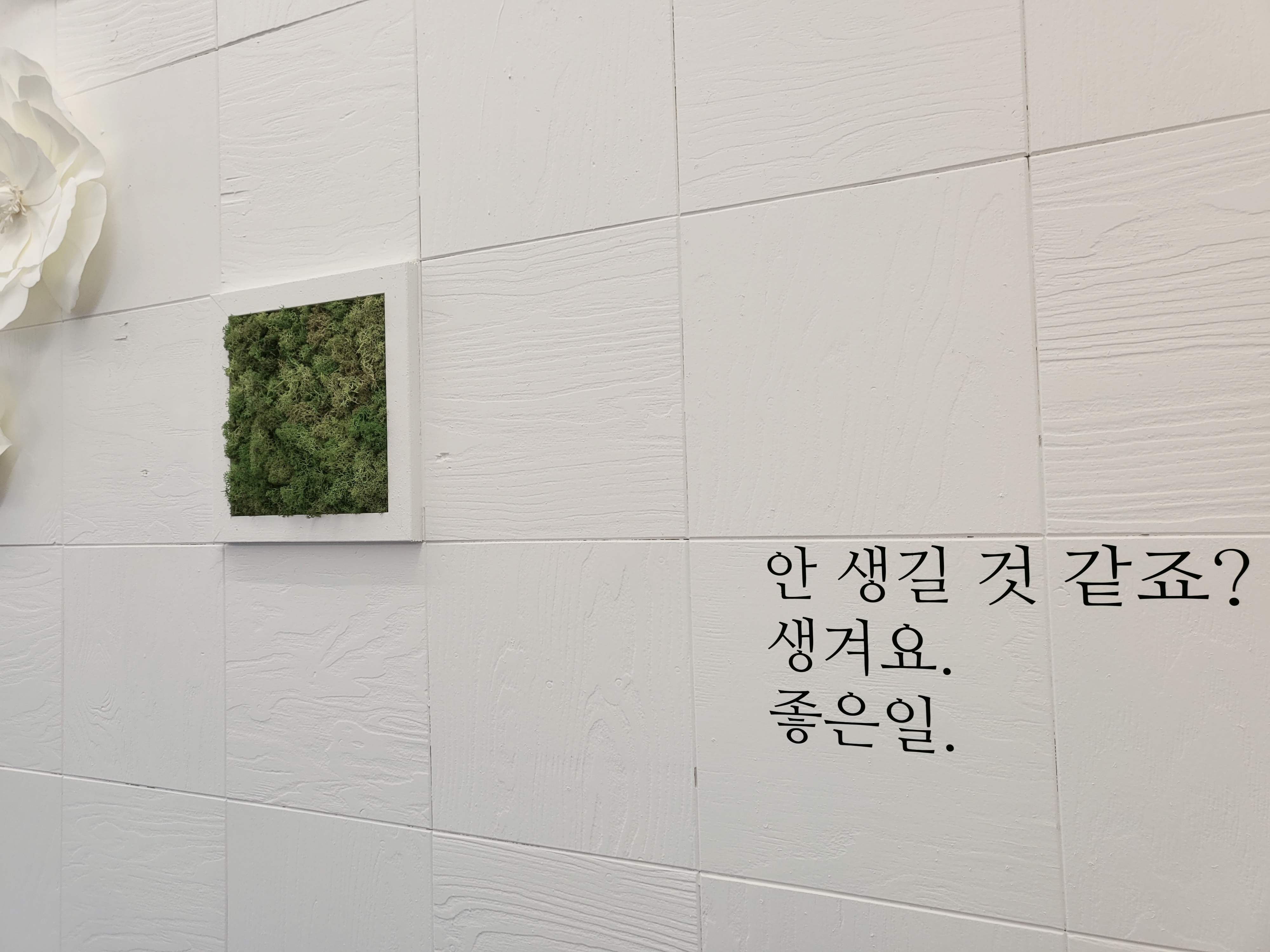 Cafe오늘413