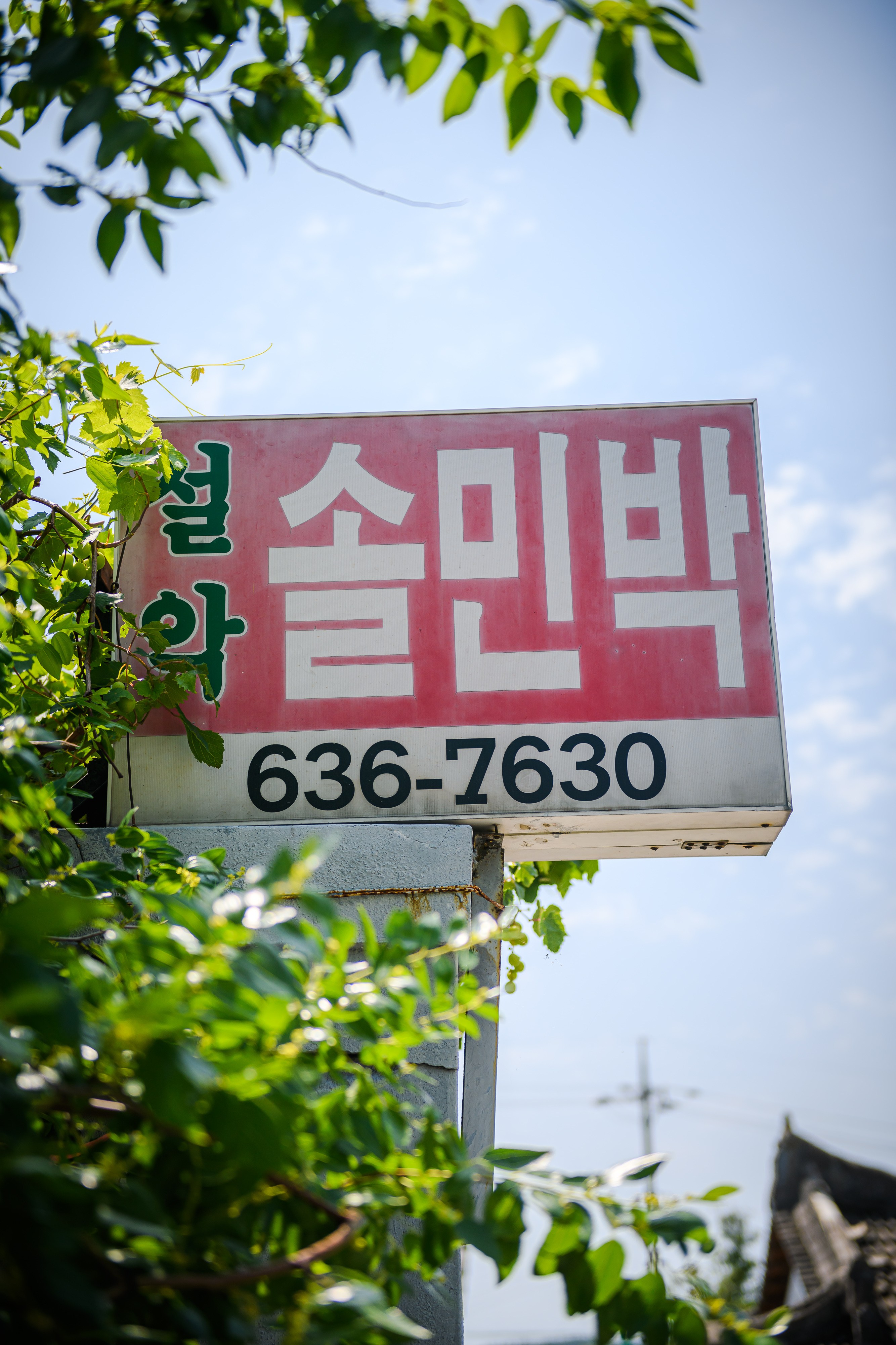 설악솔민박