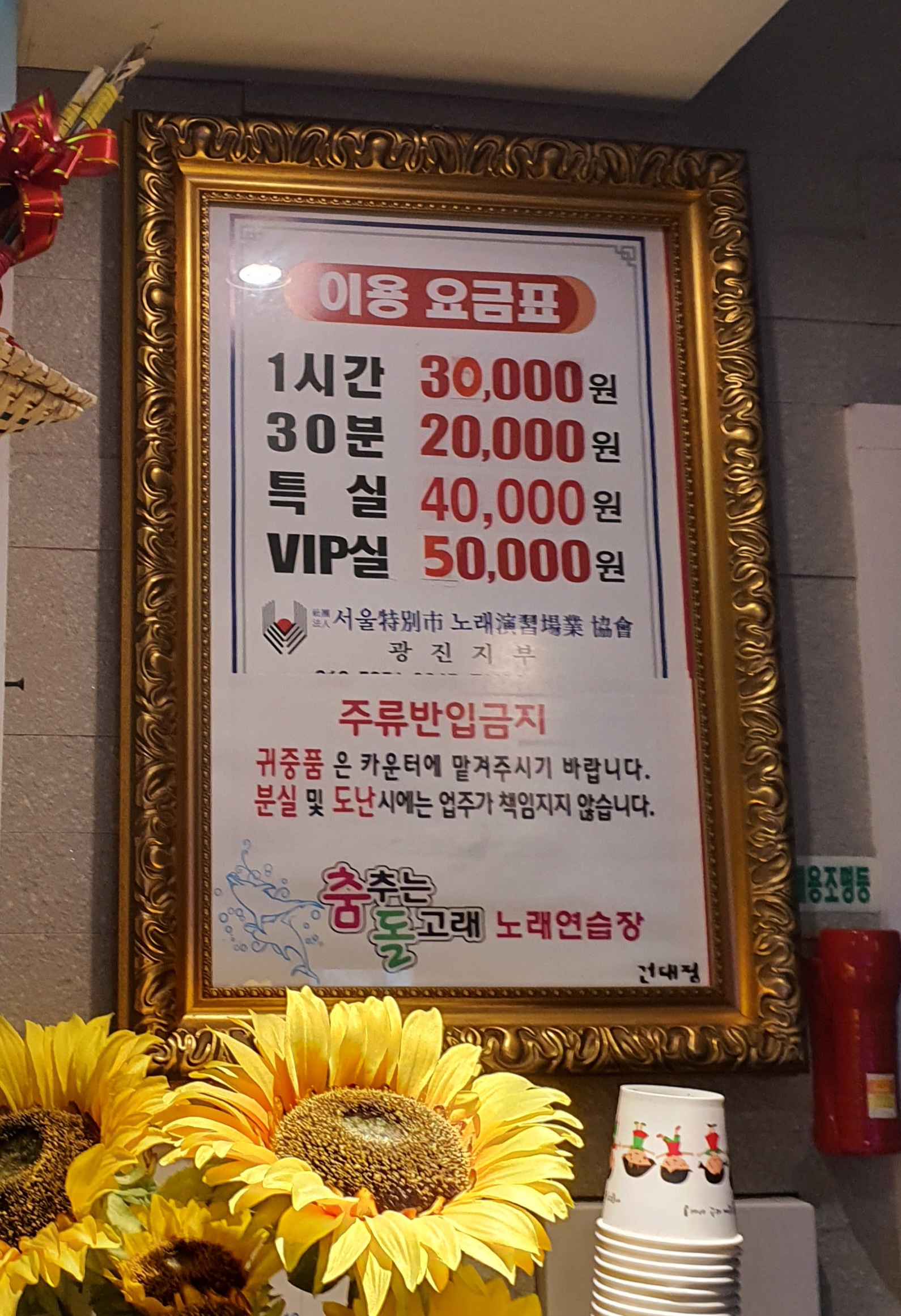 춤추는돌고래노래연습장