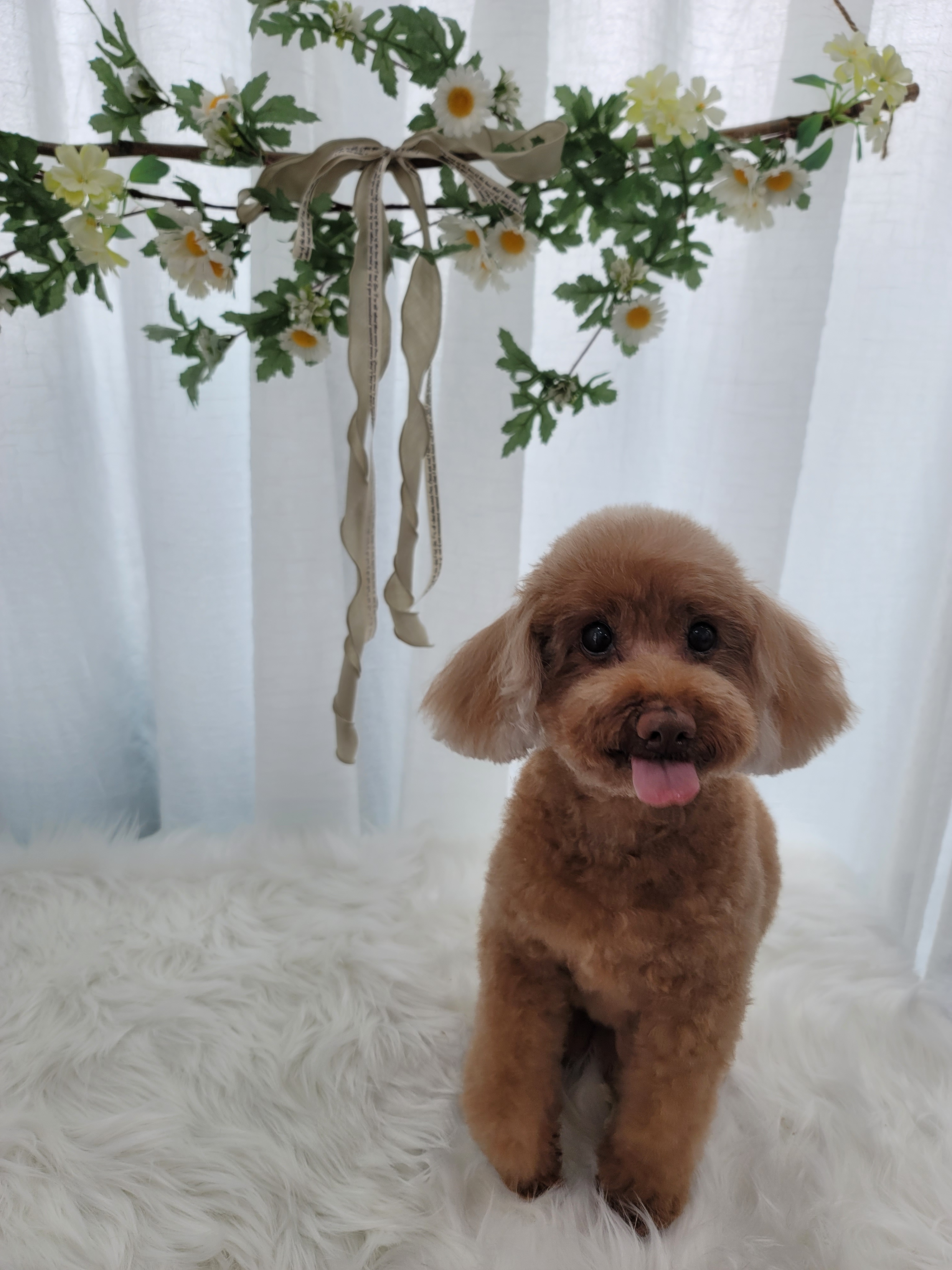 몽몽살롱 대표 이미지